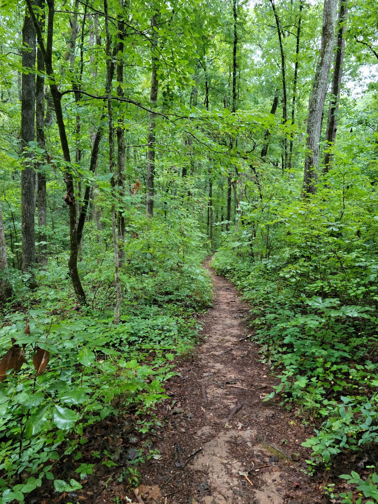 High Falls State Park