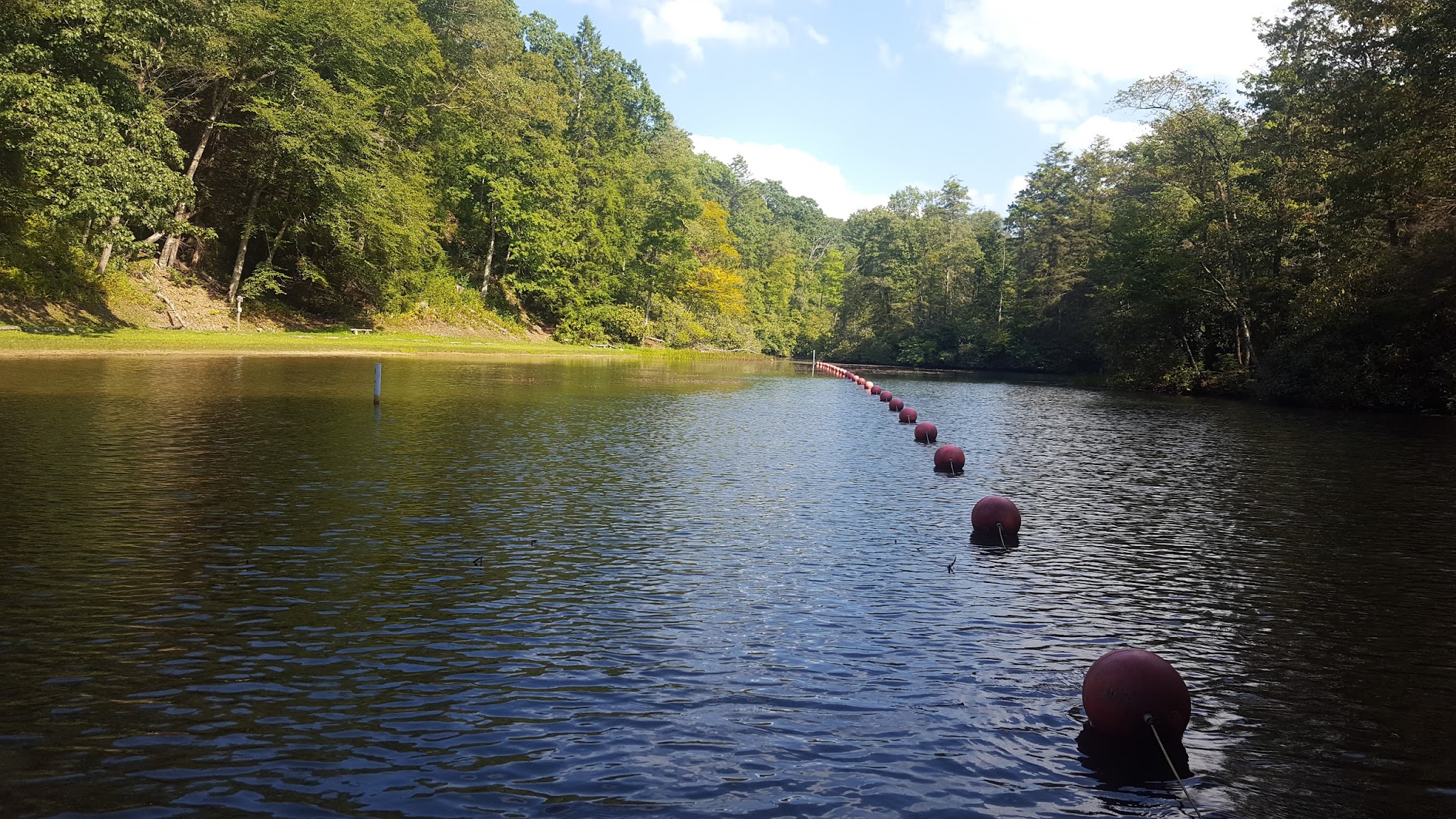 High Knob Campground