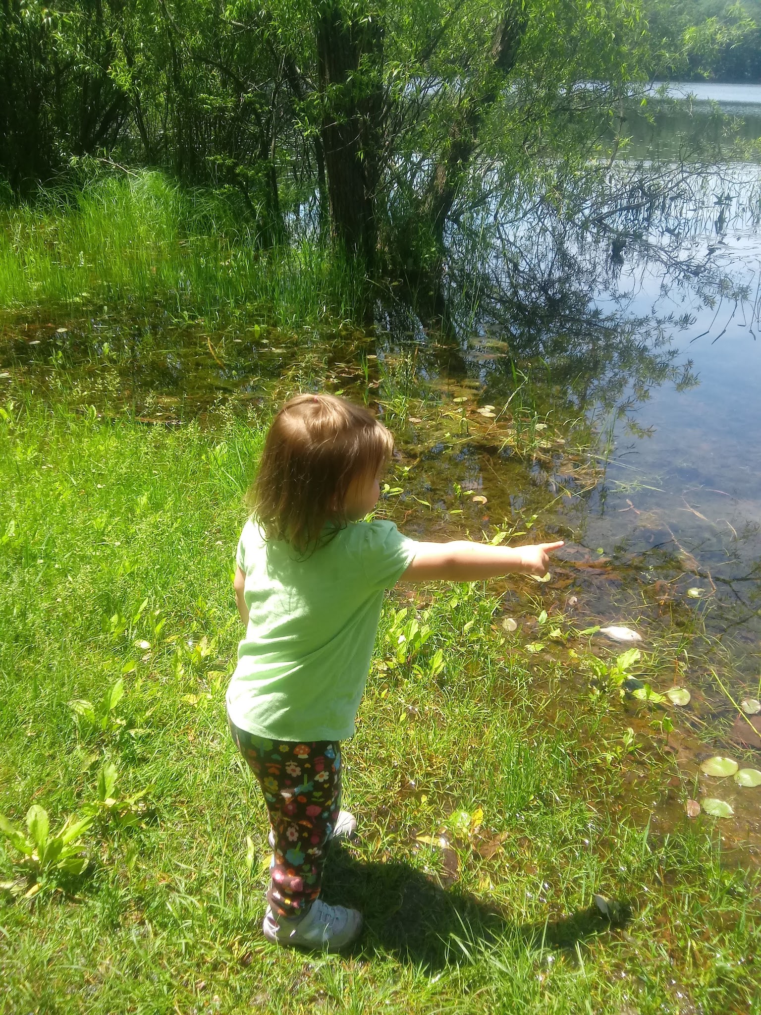 Highbank Lake Campground