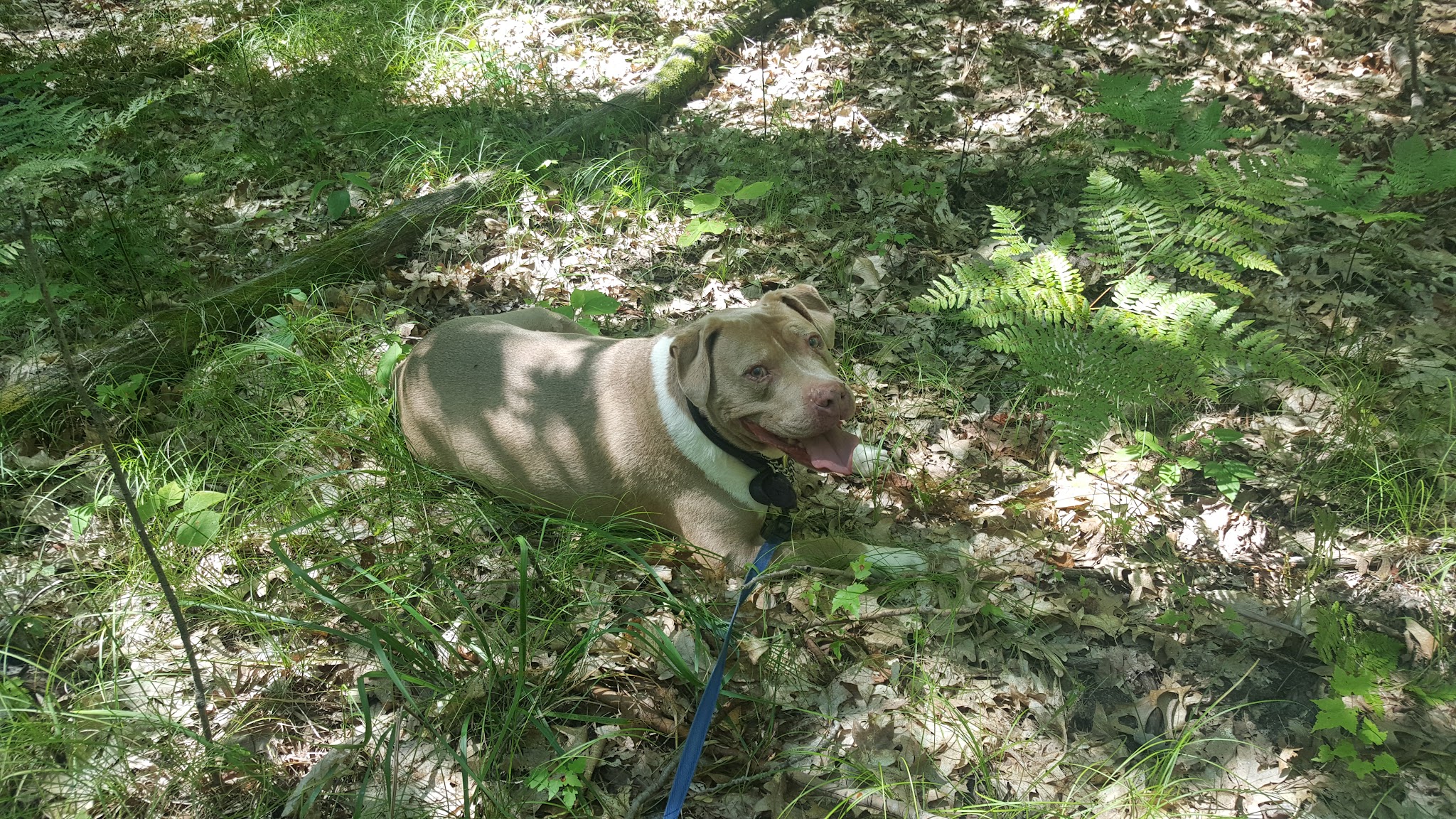 Highbank Lake Campground