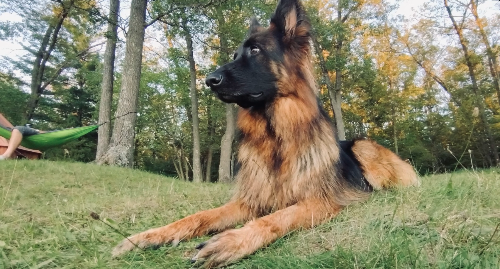 Highbank Lake Campground