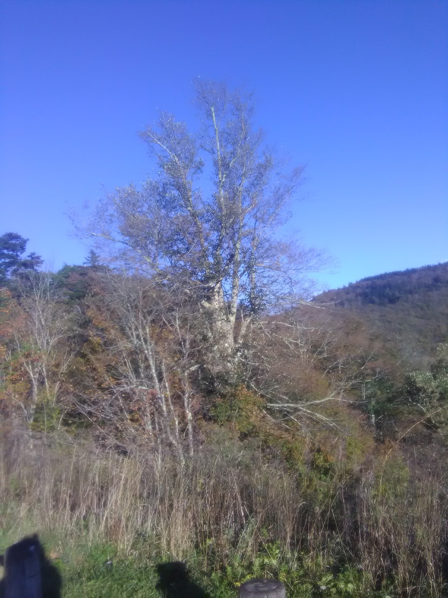 Highland Scenic Highway