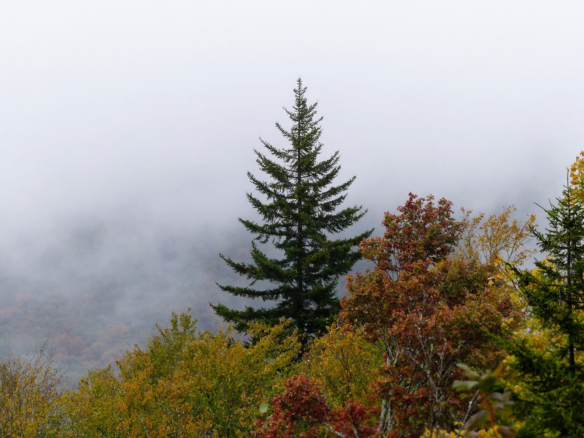 Highland Scenic Highway