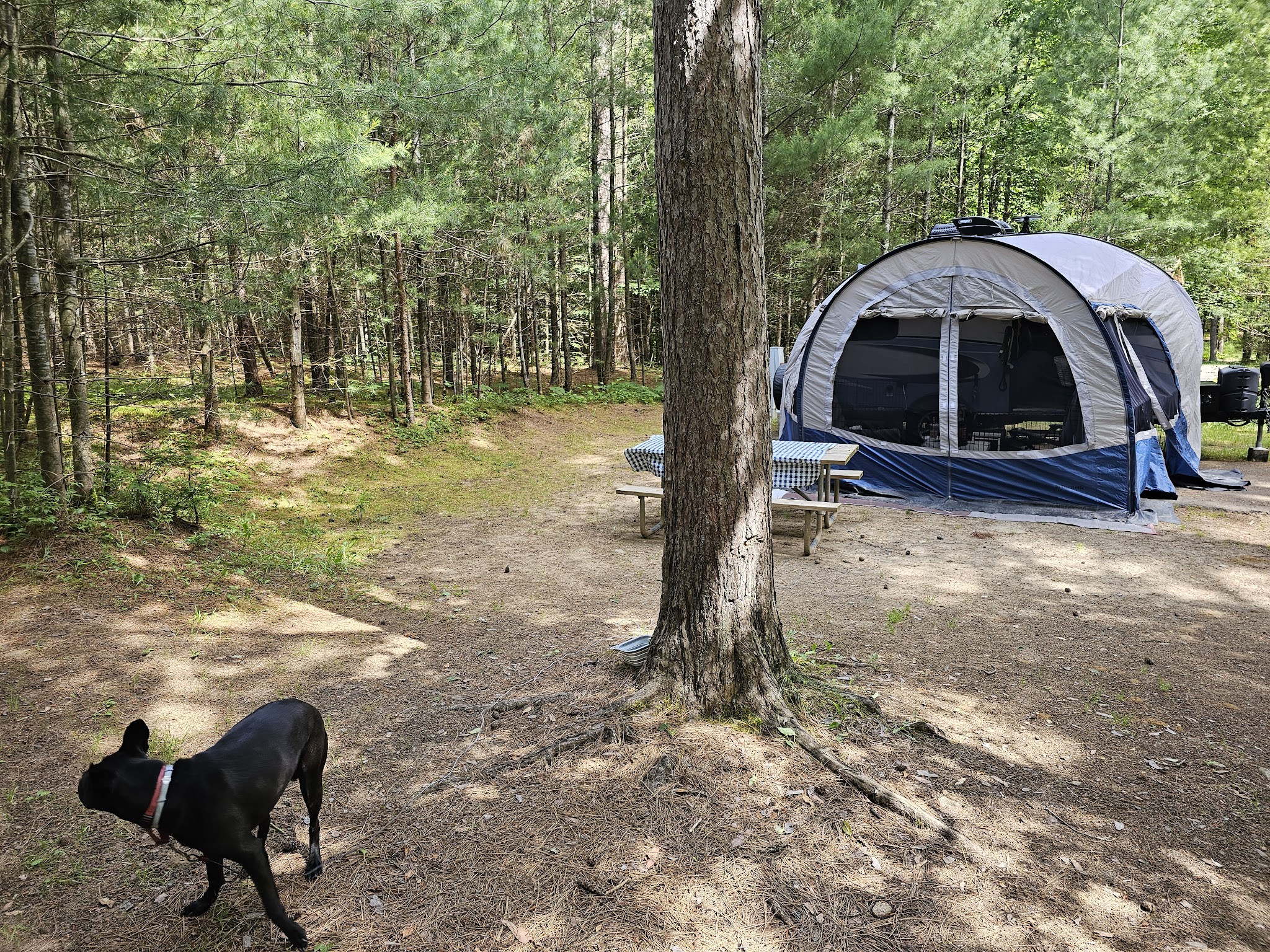 Higley Flow State Park