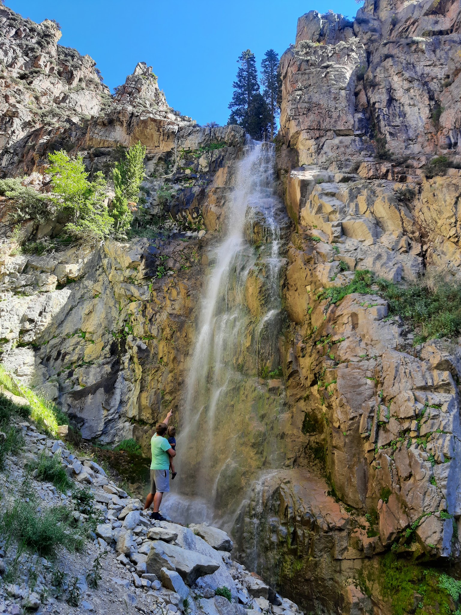 Five Springs Falls Campground