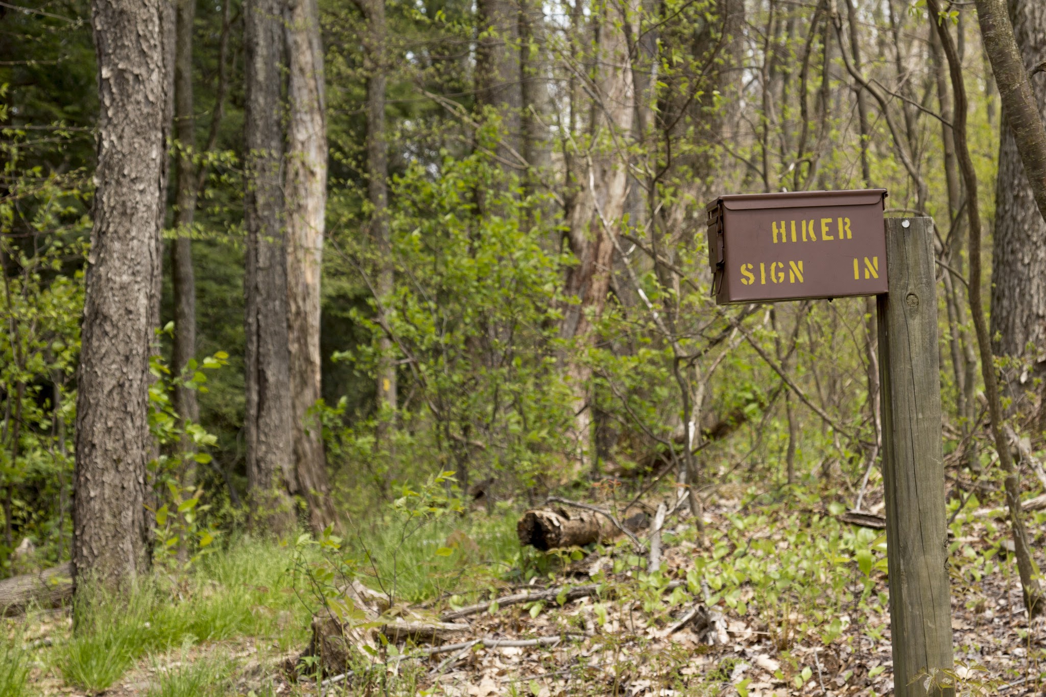 Oil Creek State Park