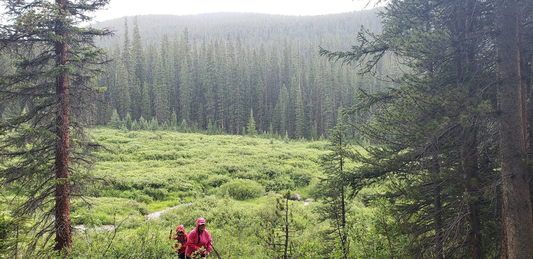 Gold Creek Campground - Gunnison Rd