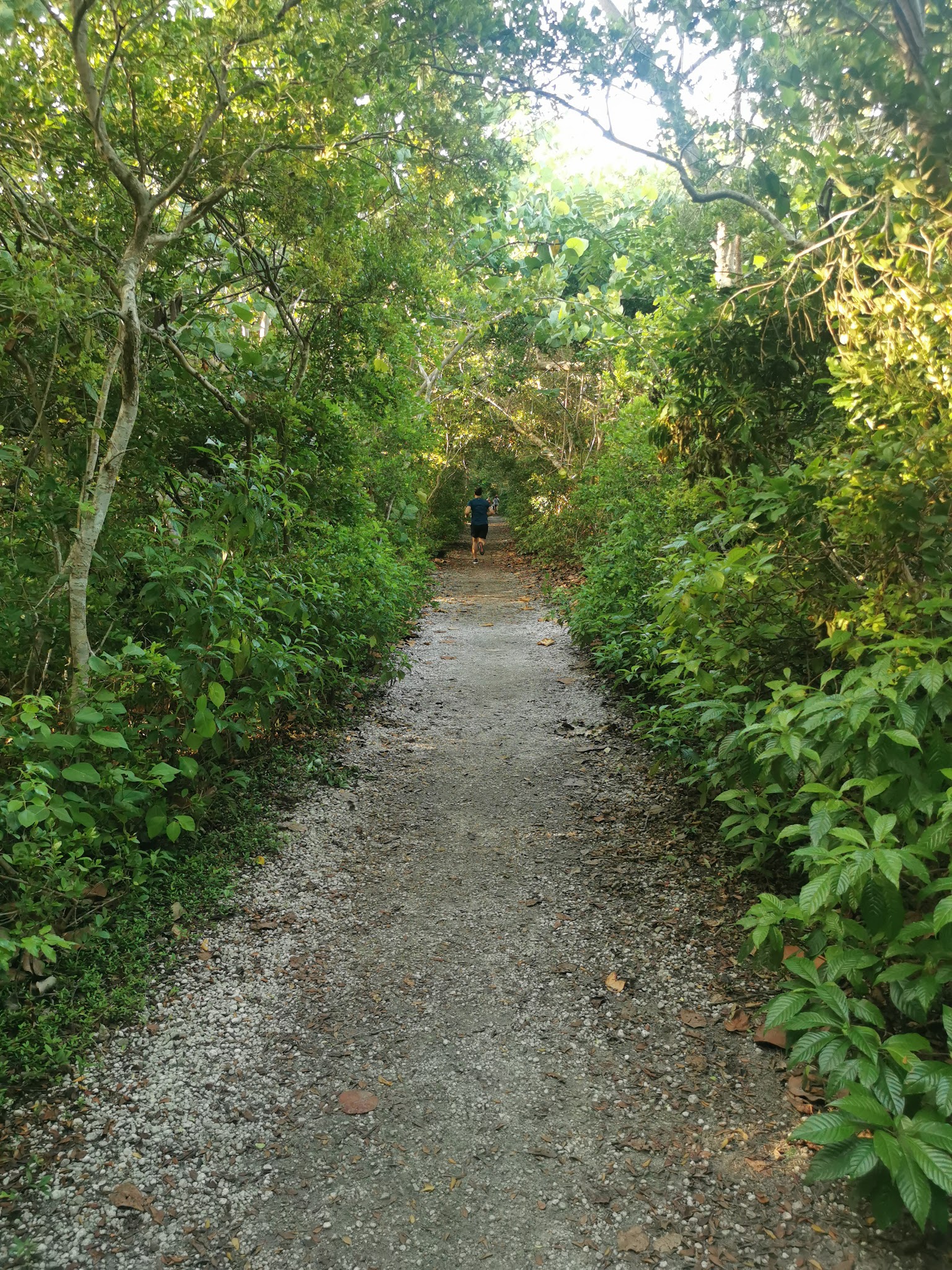 Hugh Taylor Birch State Park Campground