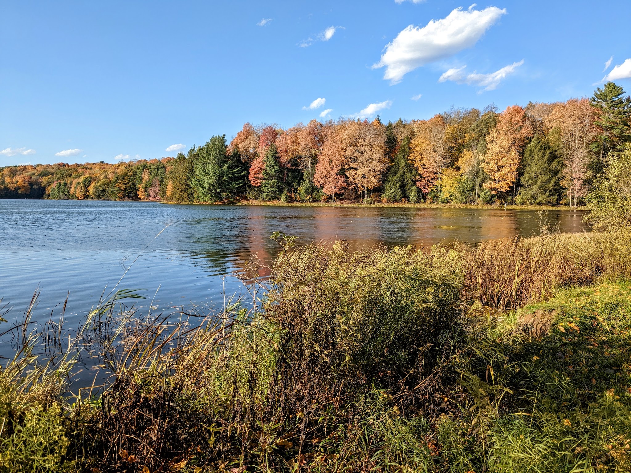 Hills Creek State Park