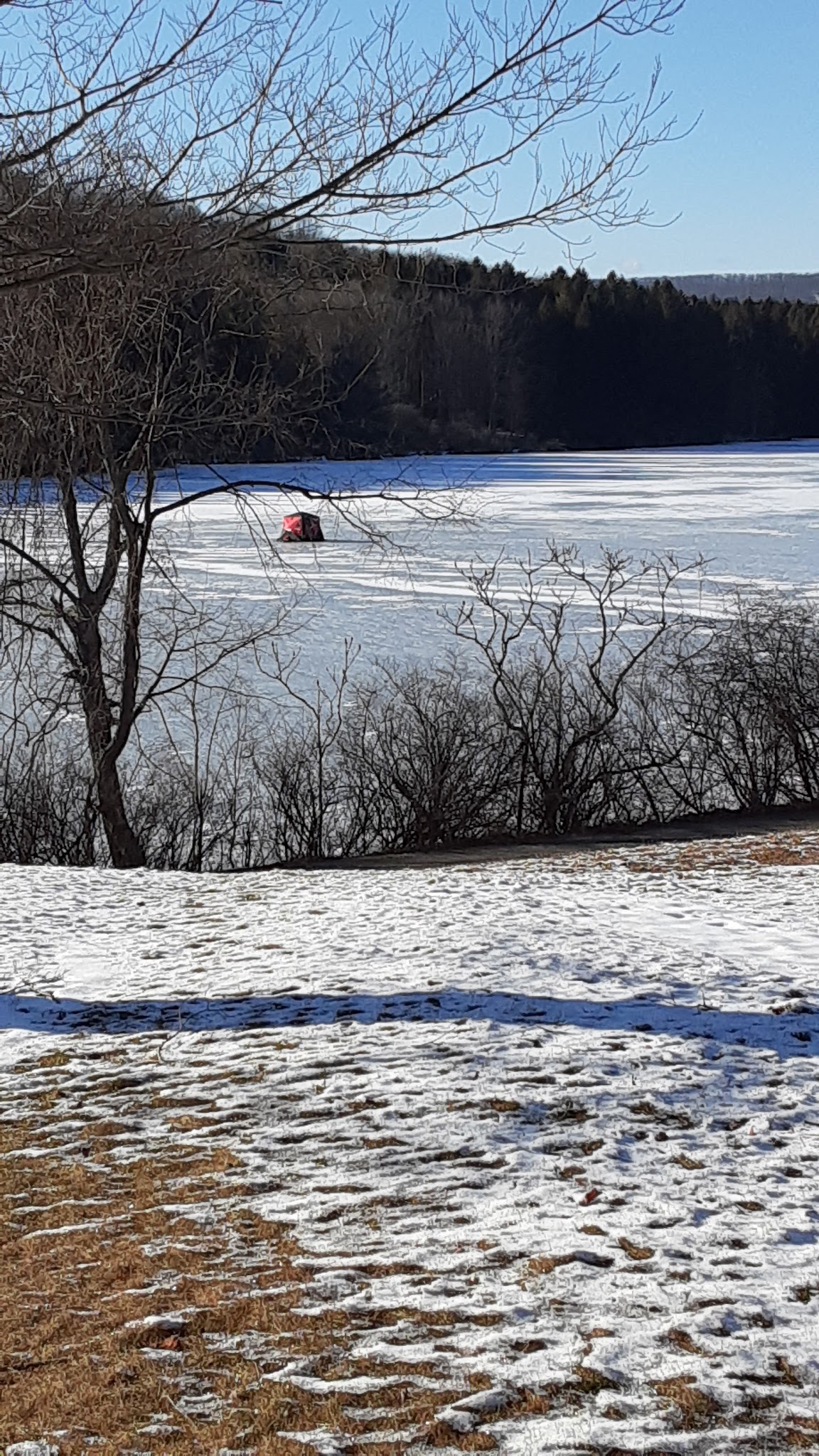 Hills Creek State Park