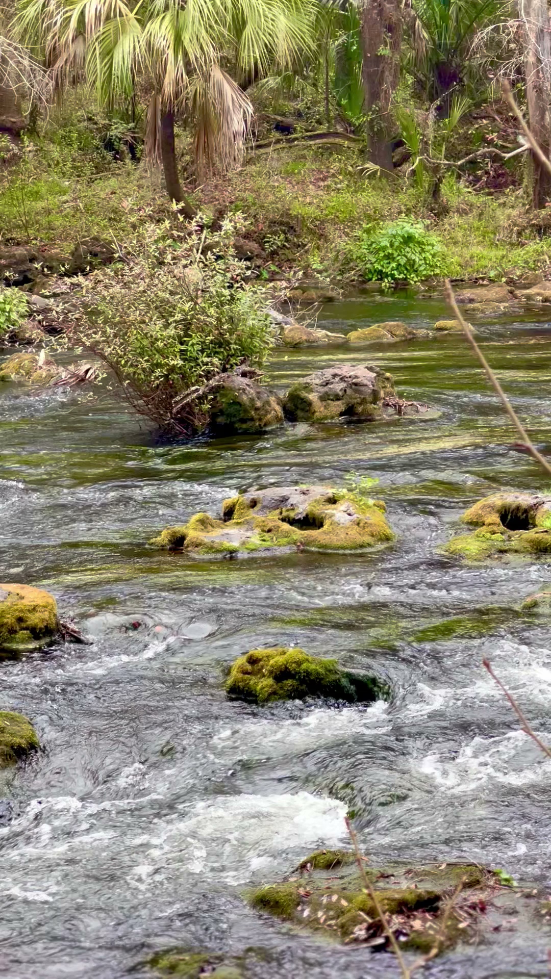 Hillsborough River State Park Campground