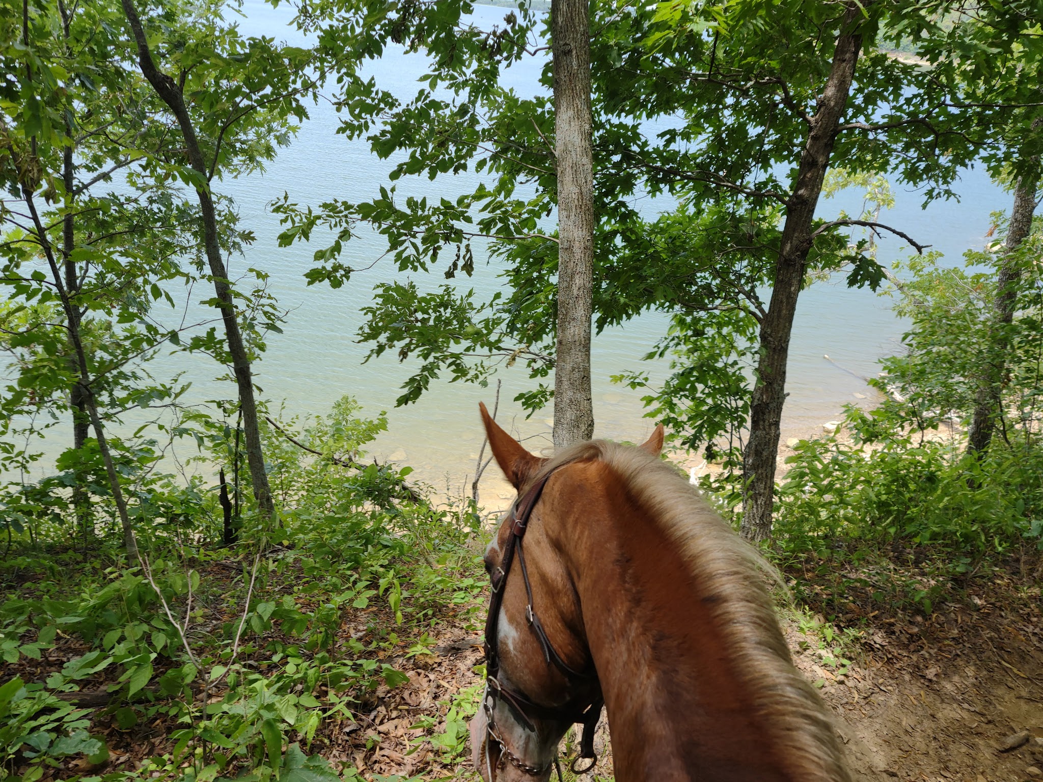 Hillsdale State Park