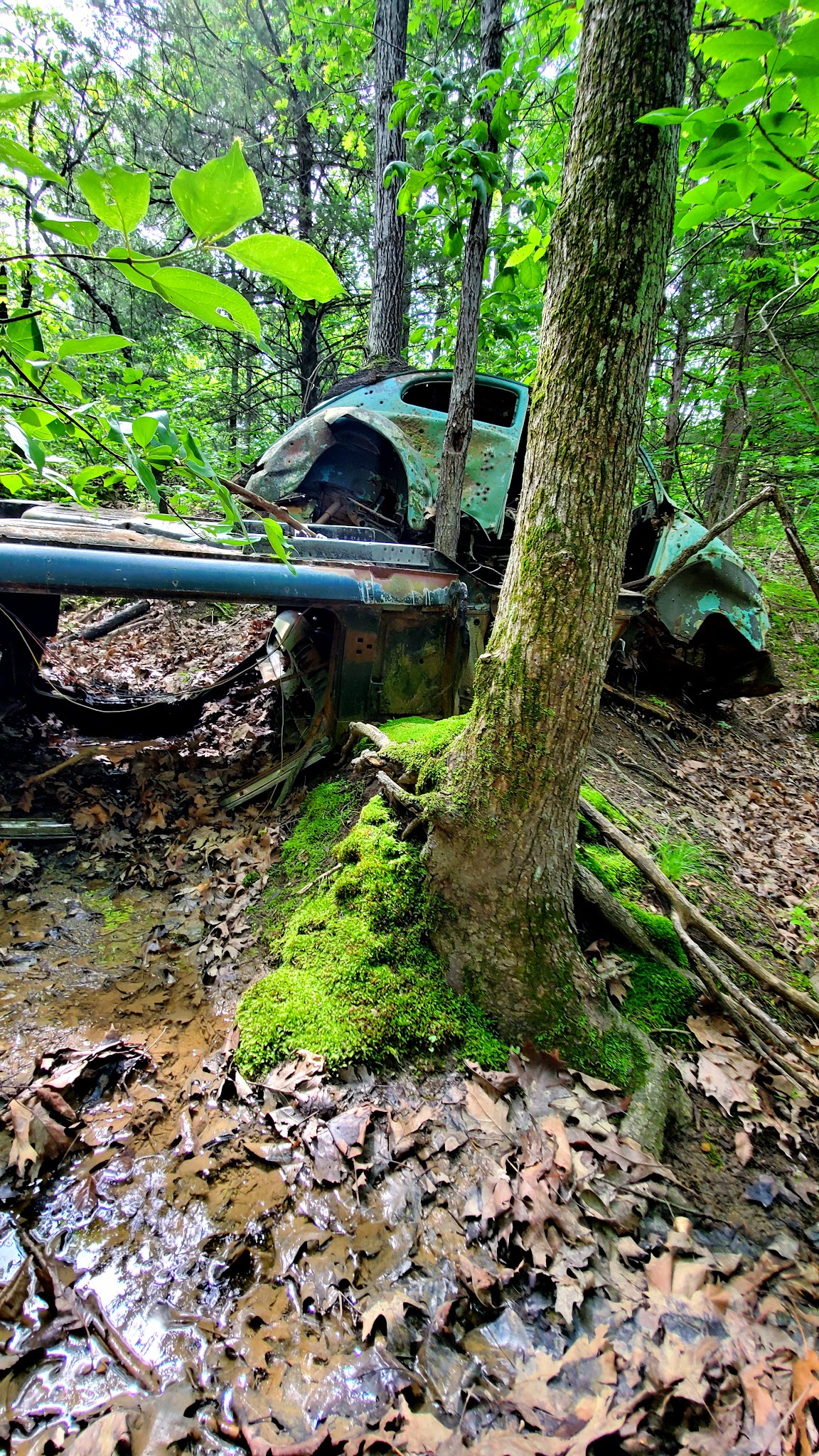 Hillsdale State Park