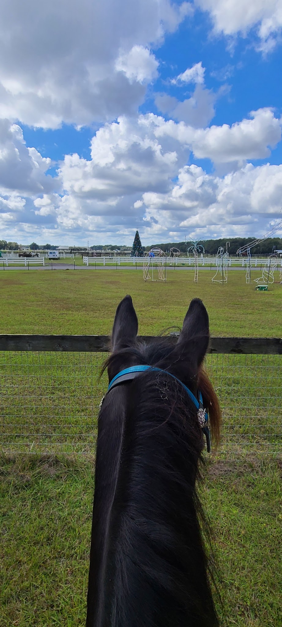 Santos Trailhead And Campground Campground