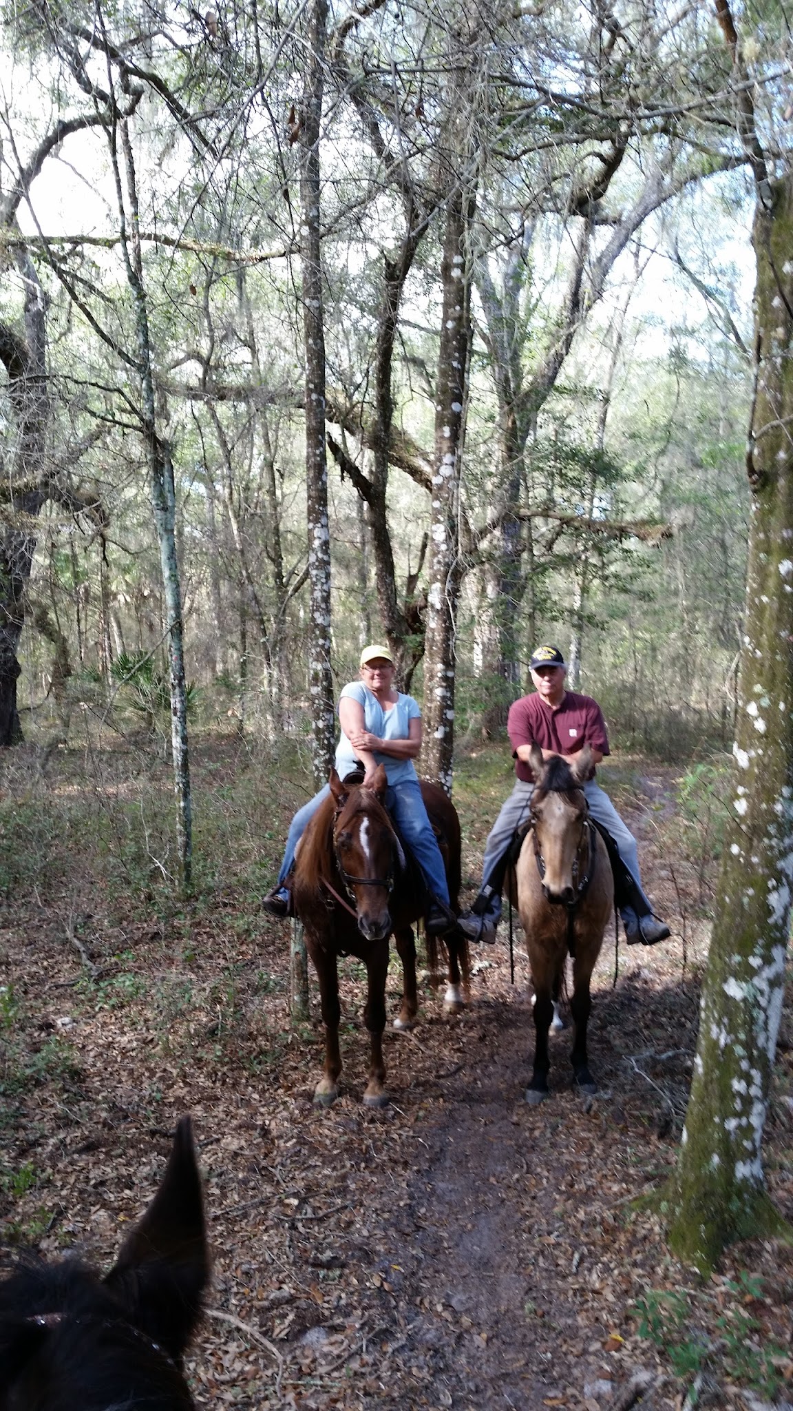 Santos Trailhead And Campground Campground