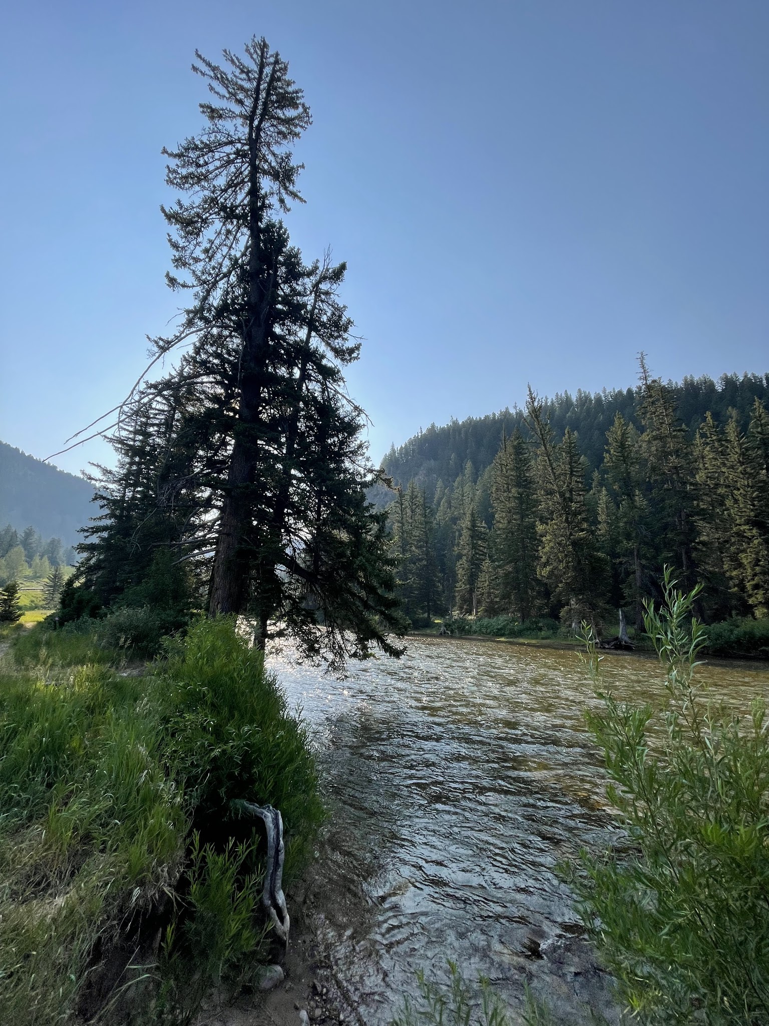 Hoback Campground