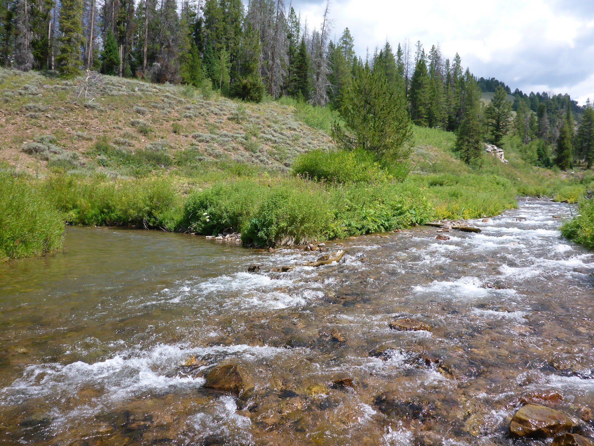 Hobble Creek Campground