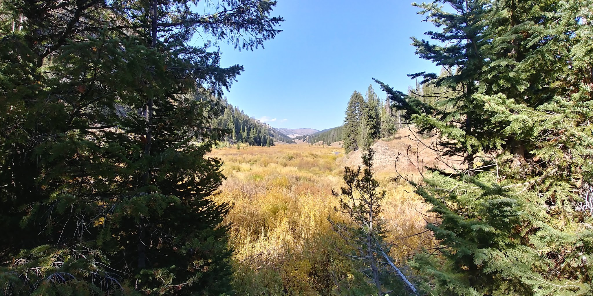 Hobble Creek Campground