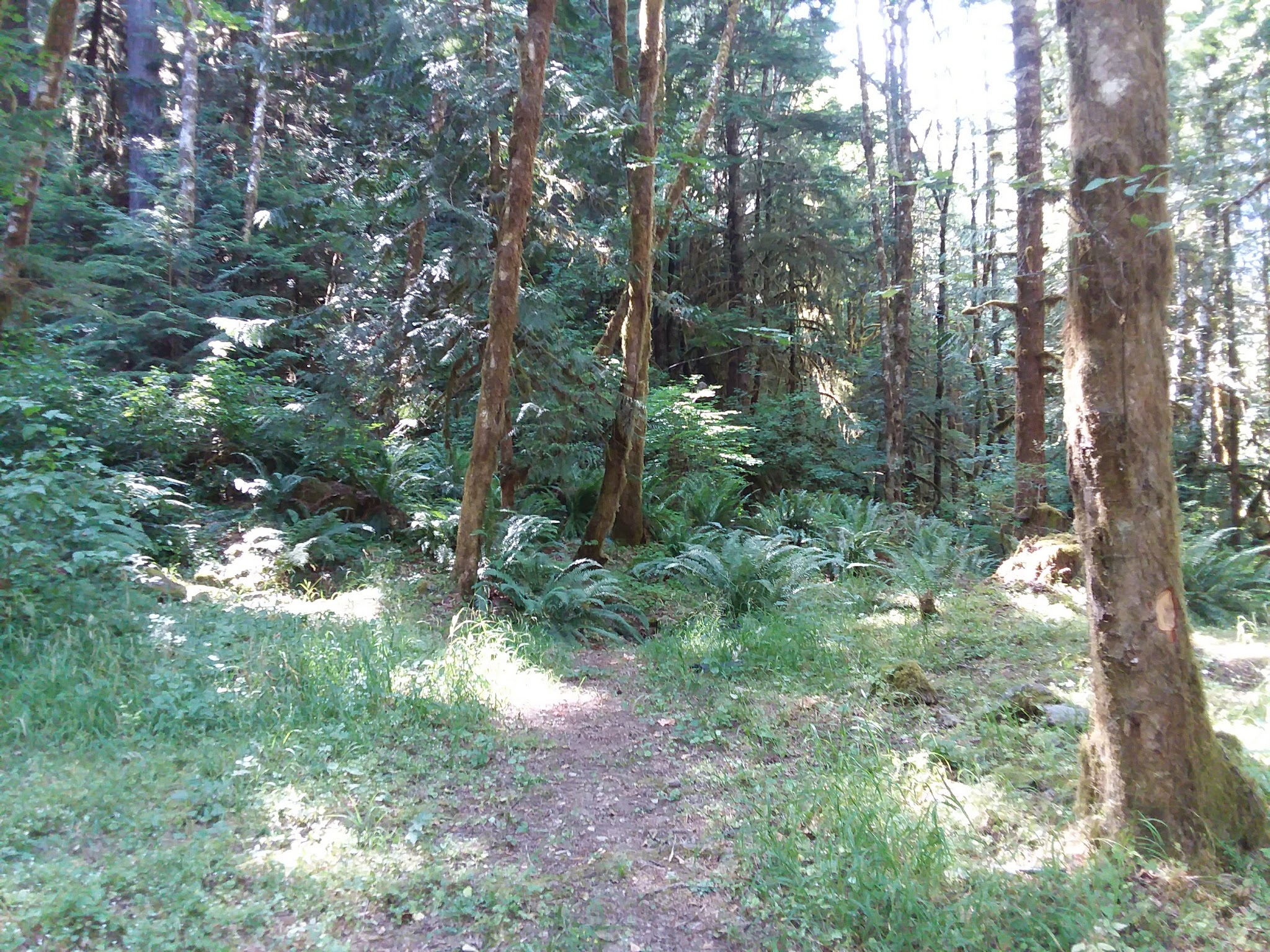 Hobo Camp Campground