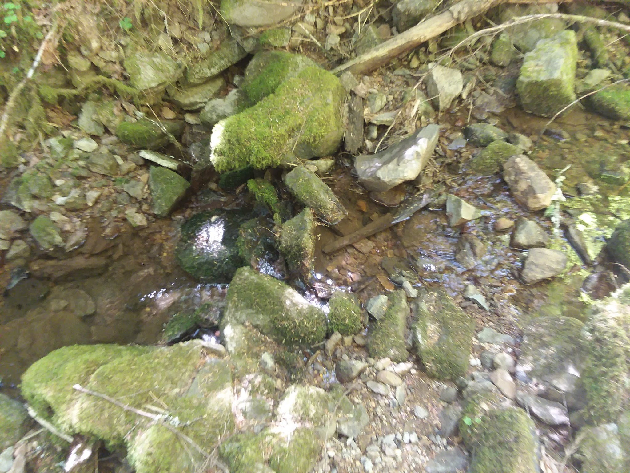 Hobo Camp Campground