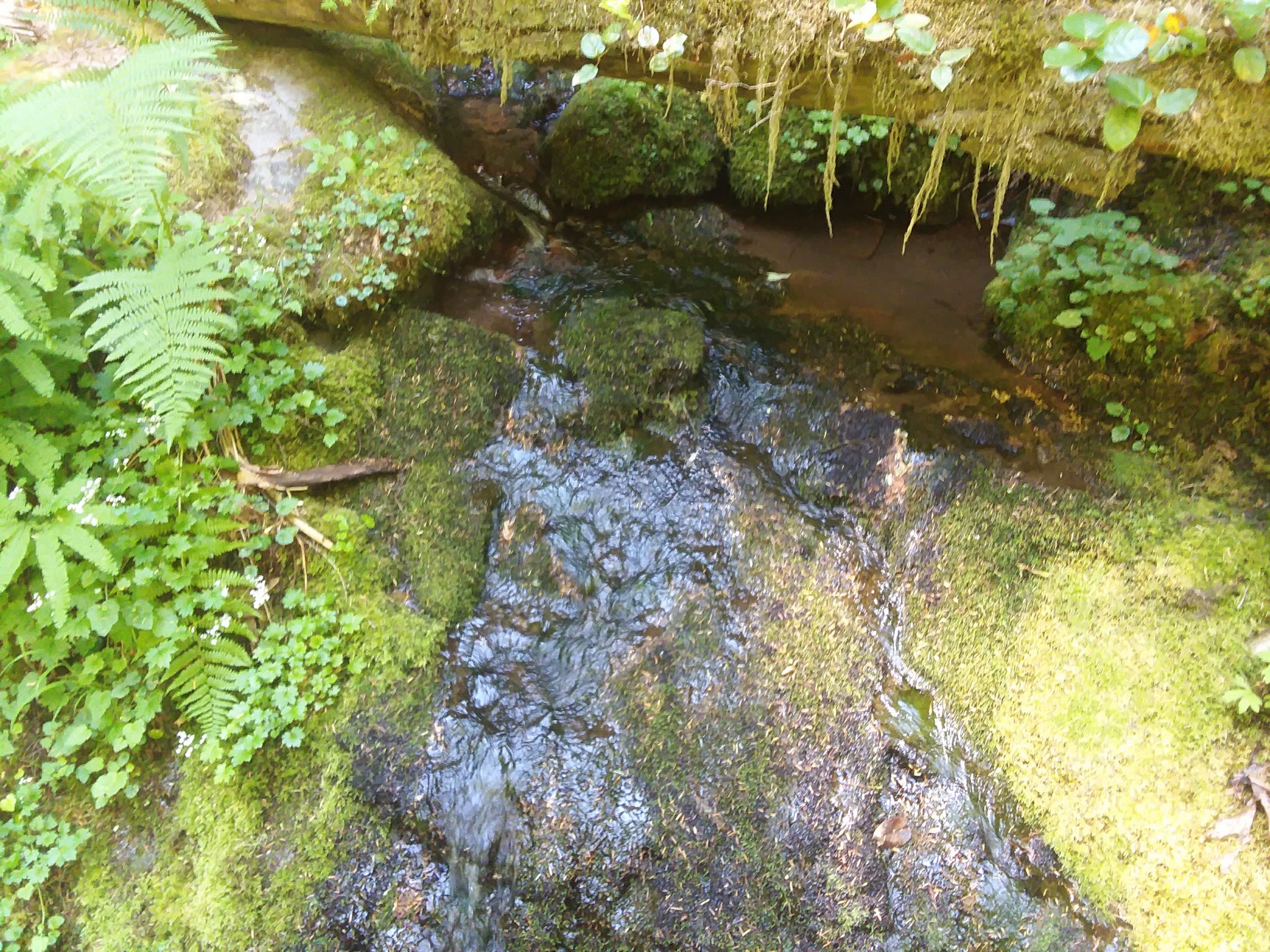 Hobo Camp Campground