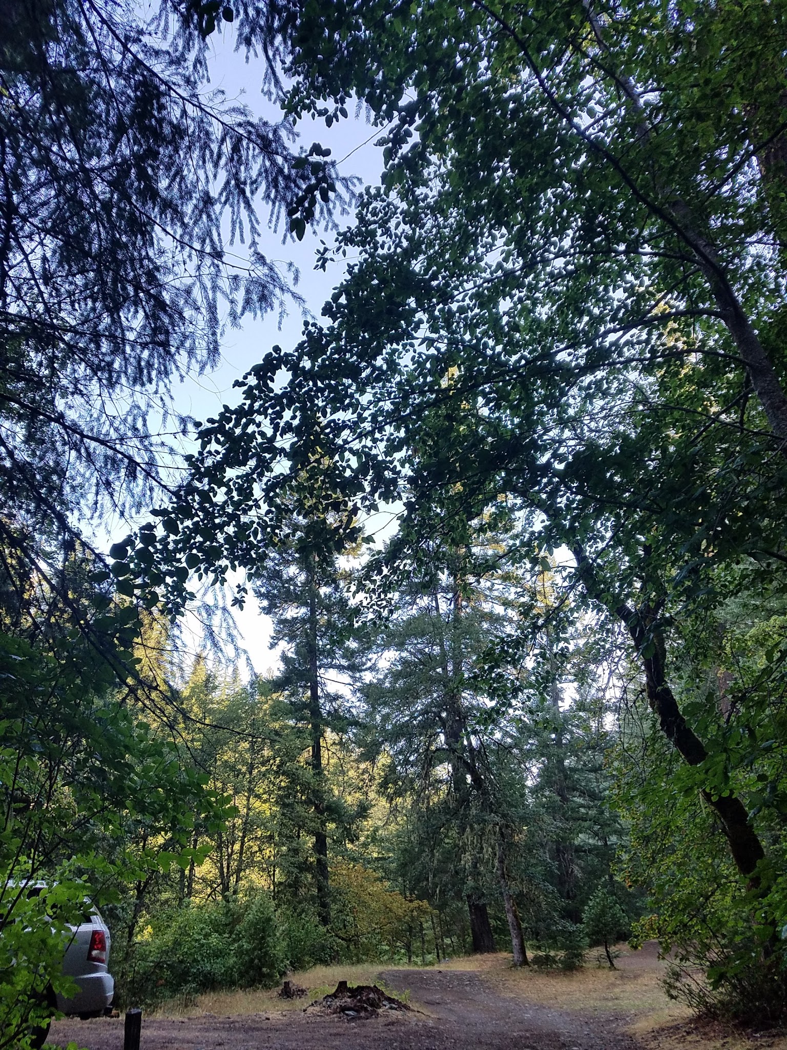 Hobo Gulch Campground