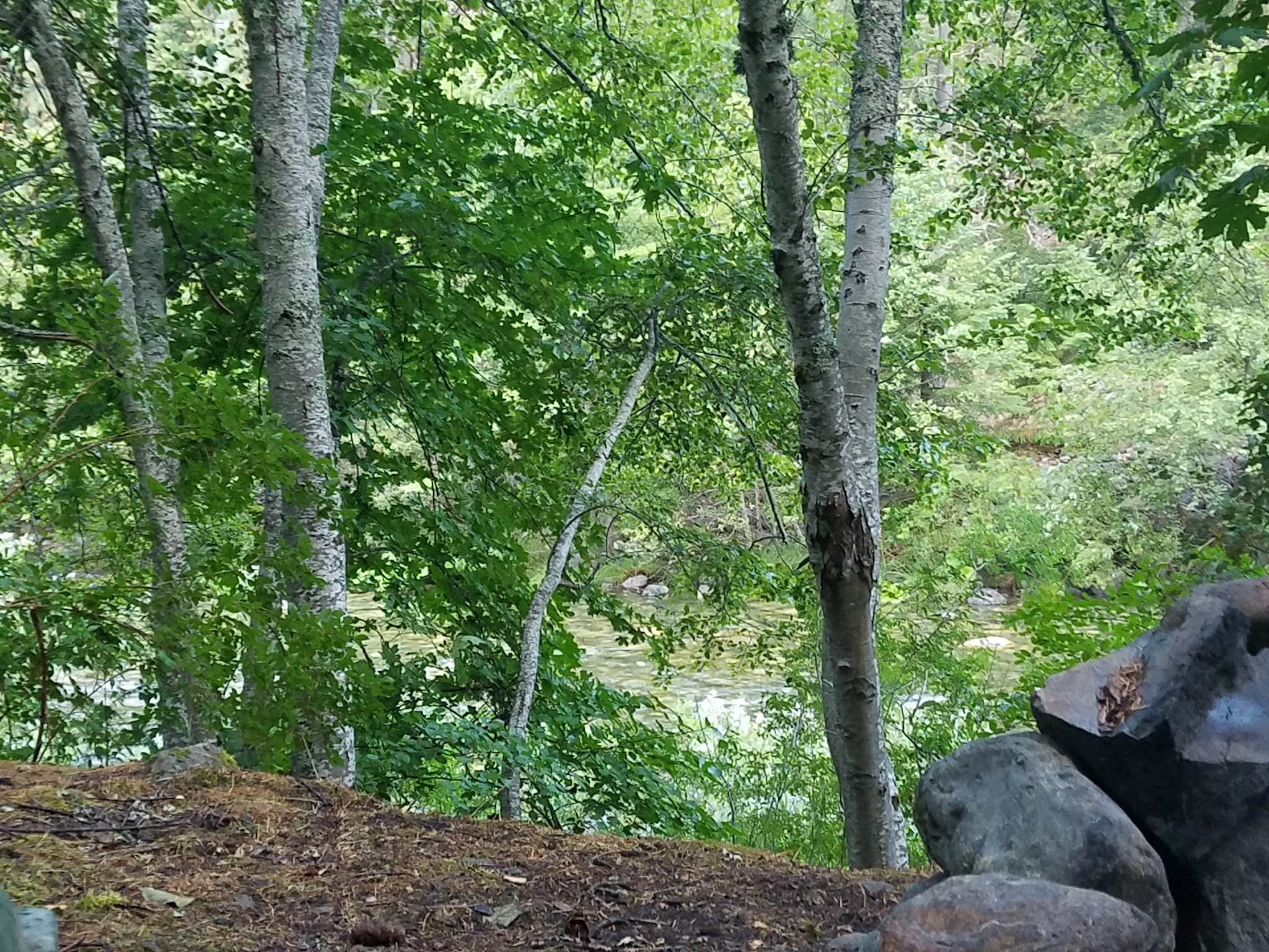 Hobo Gulch Campground