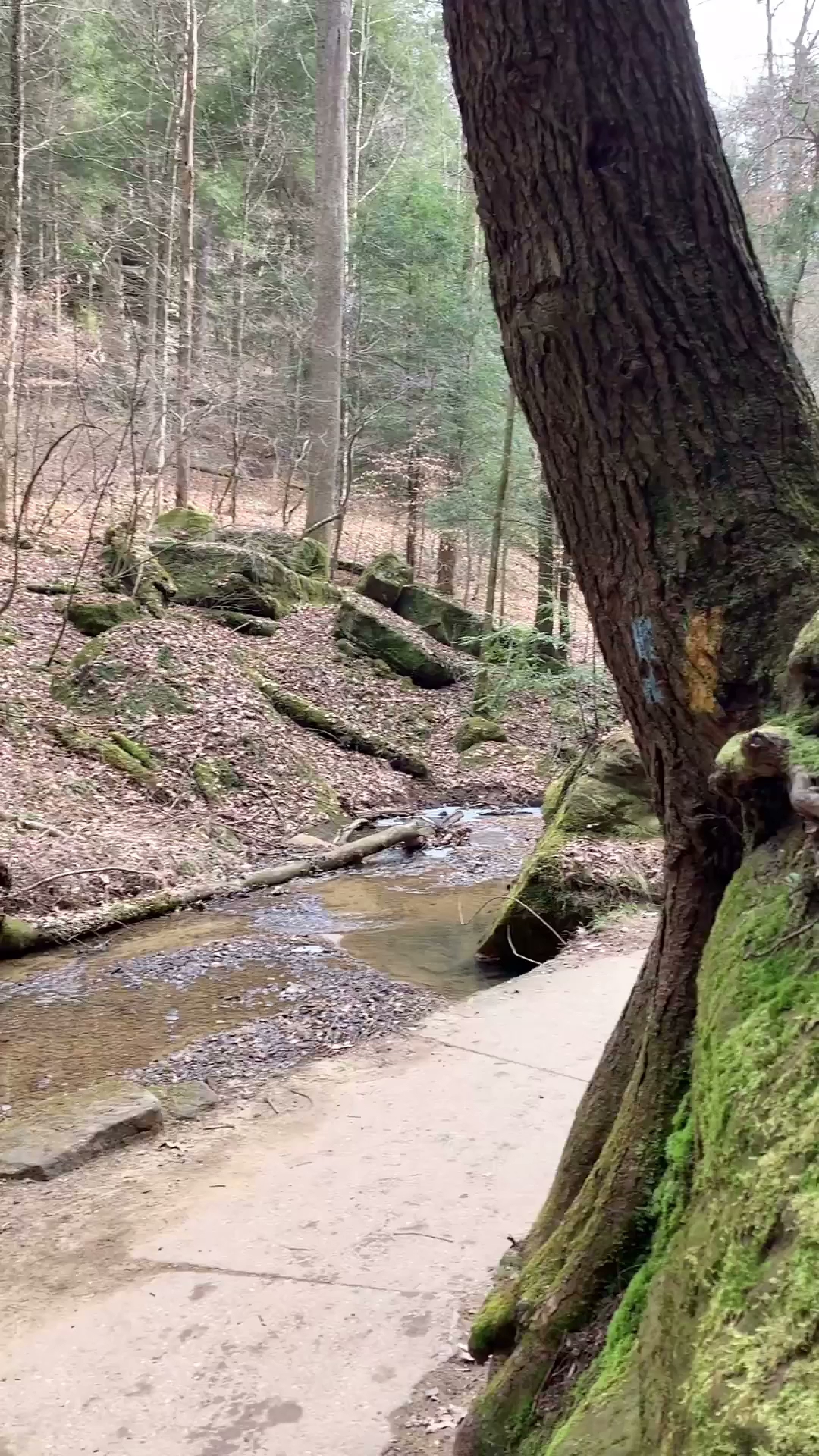 Hocking Hills Family Hike In Campground