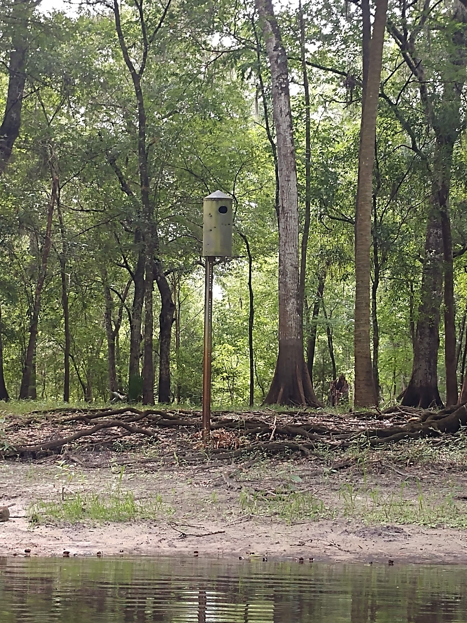 Hog Island Youth Group Camp