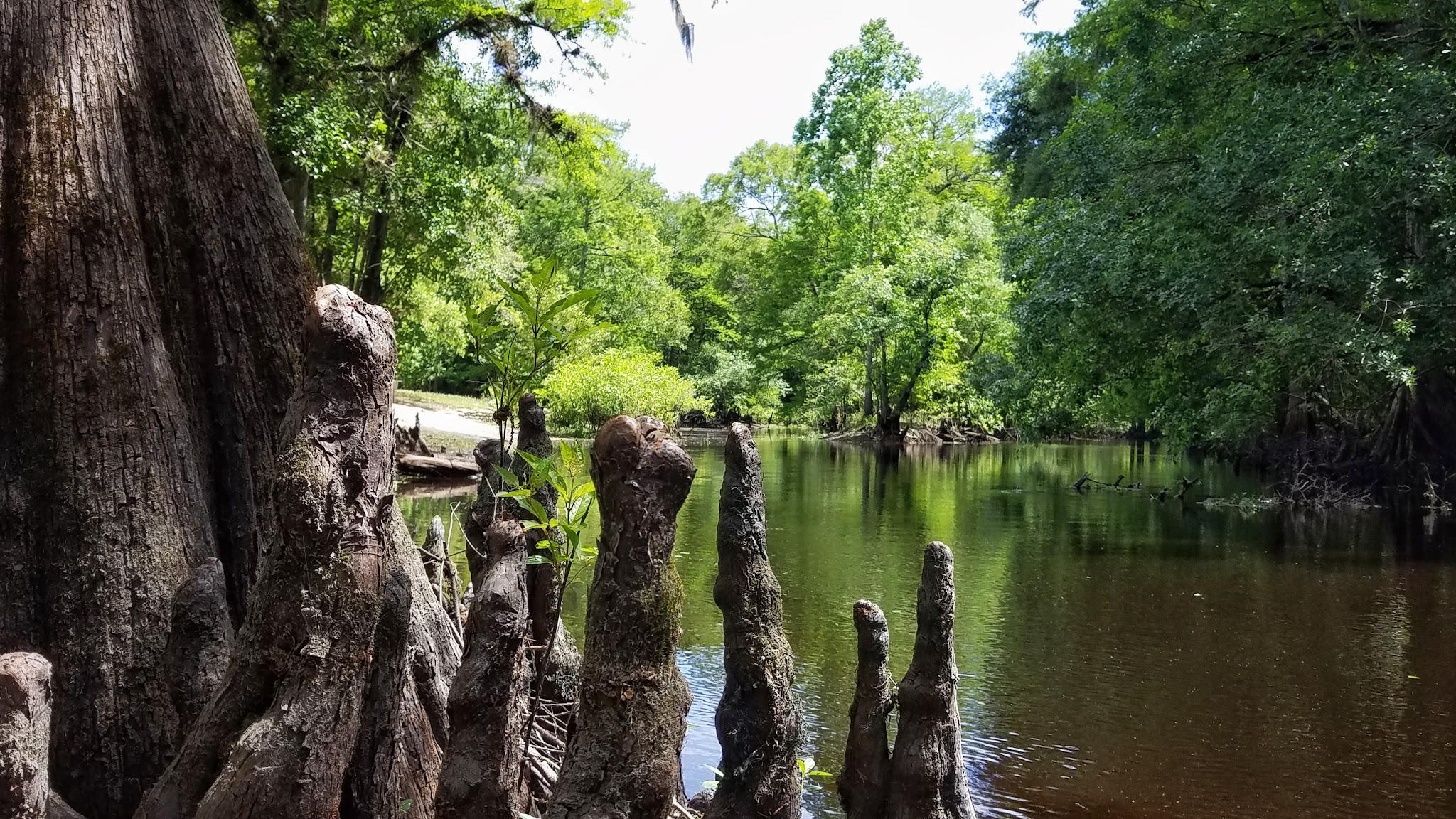 Hog Island Youth Group Camp