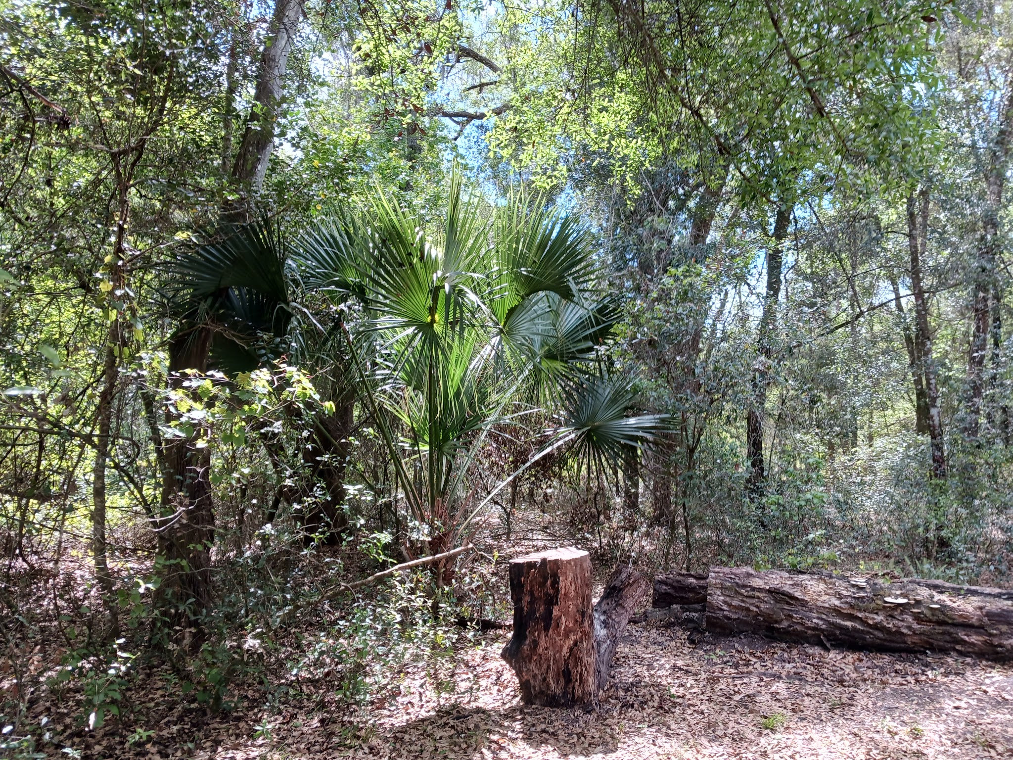 Hog Island Youth Group Camp