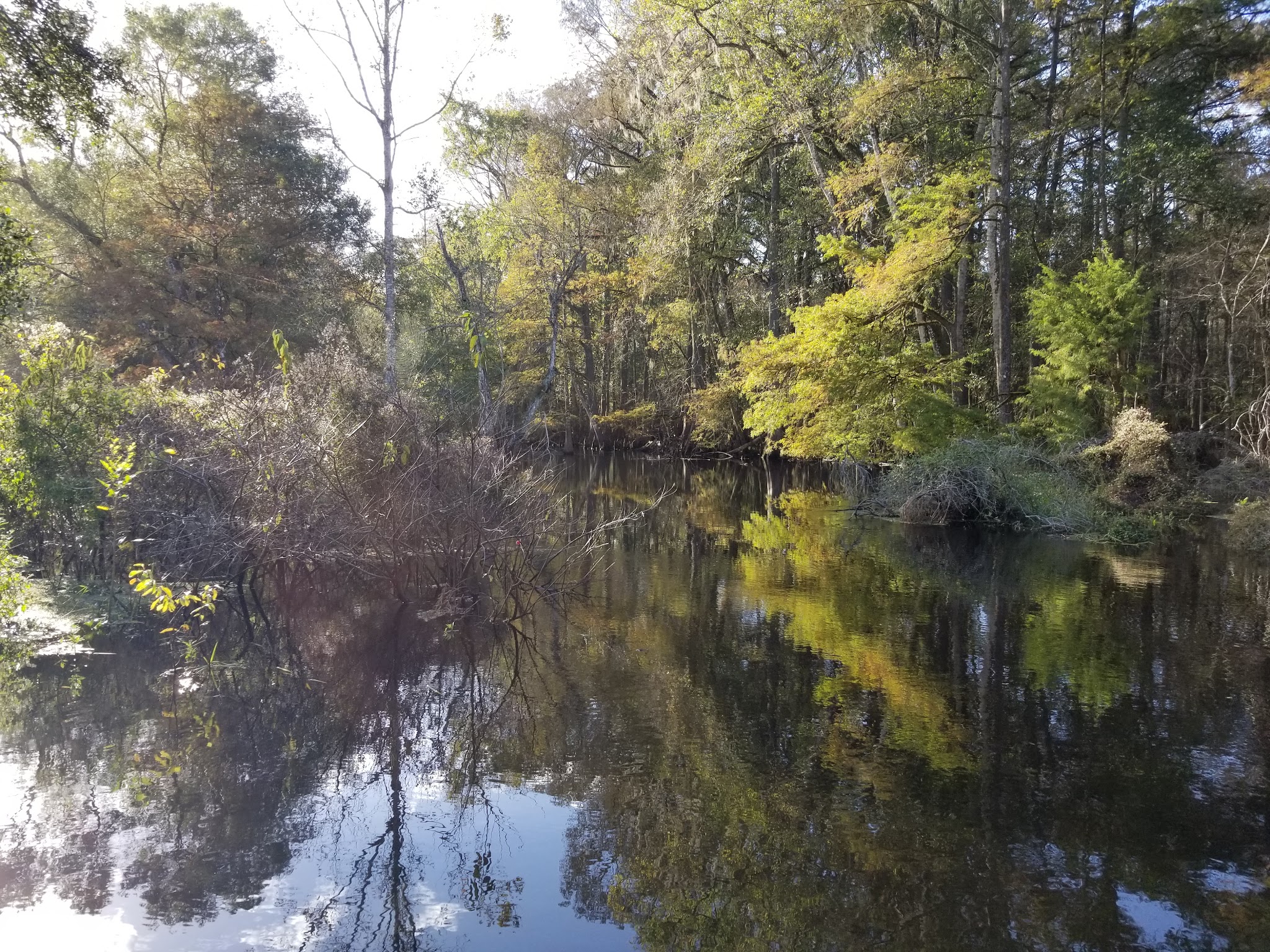 Hog Island Youth Group Camp