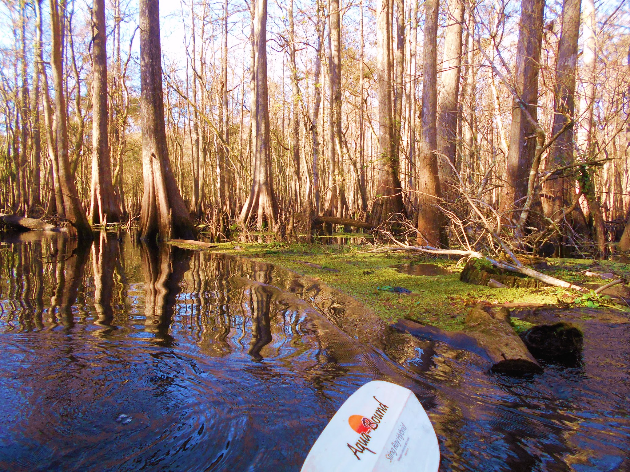 Hog Island Youth Group Camp