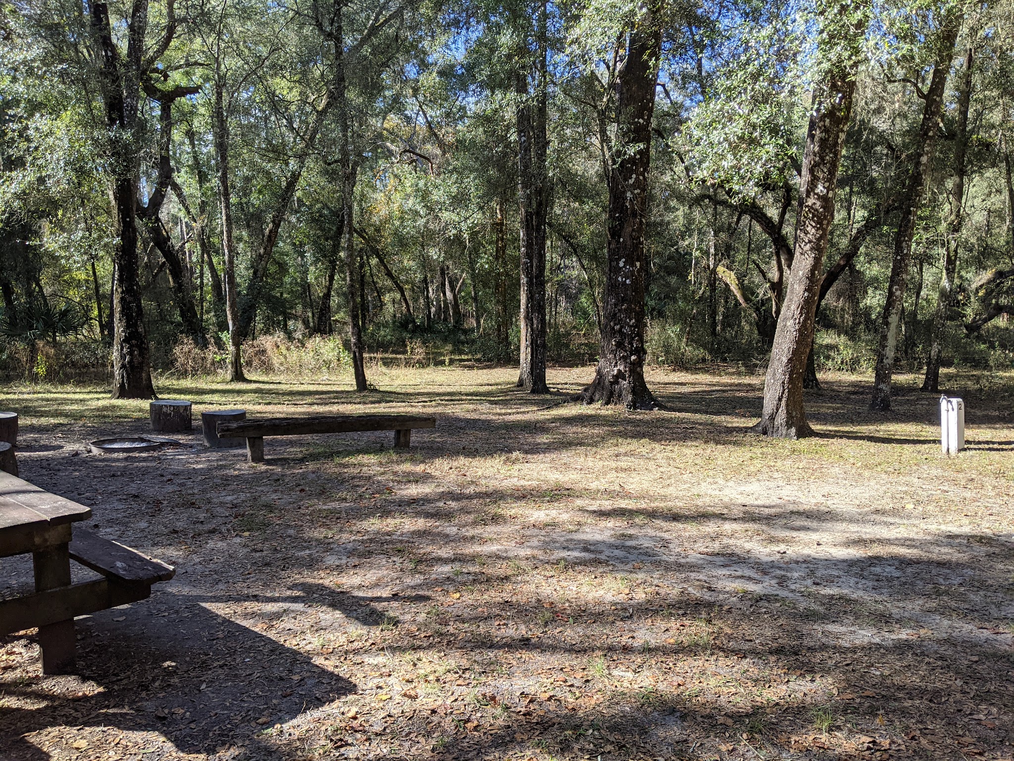 Hog Island Youth Group Camp