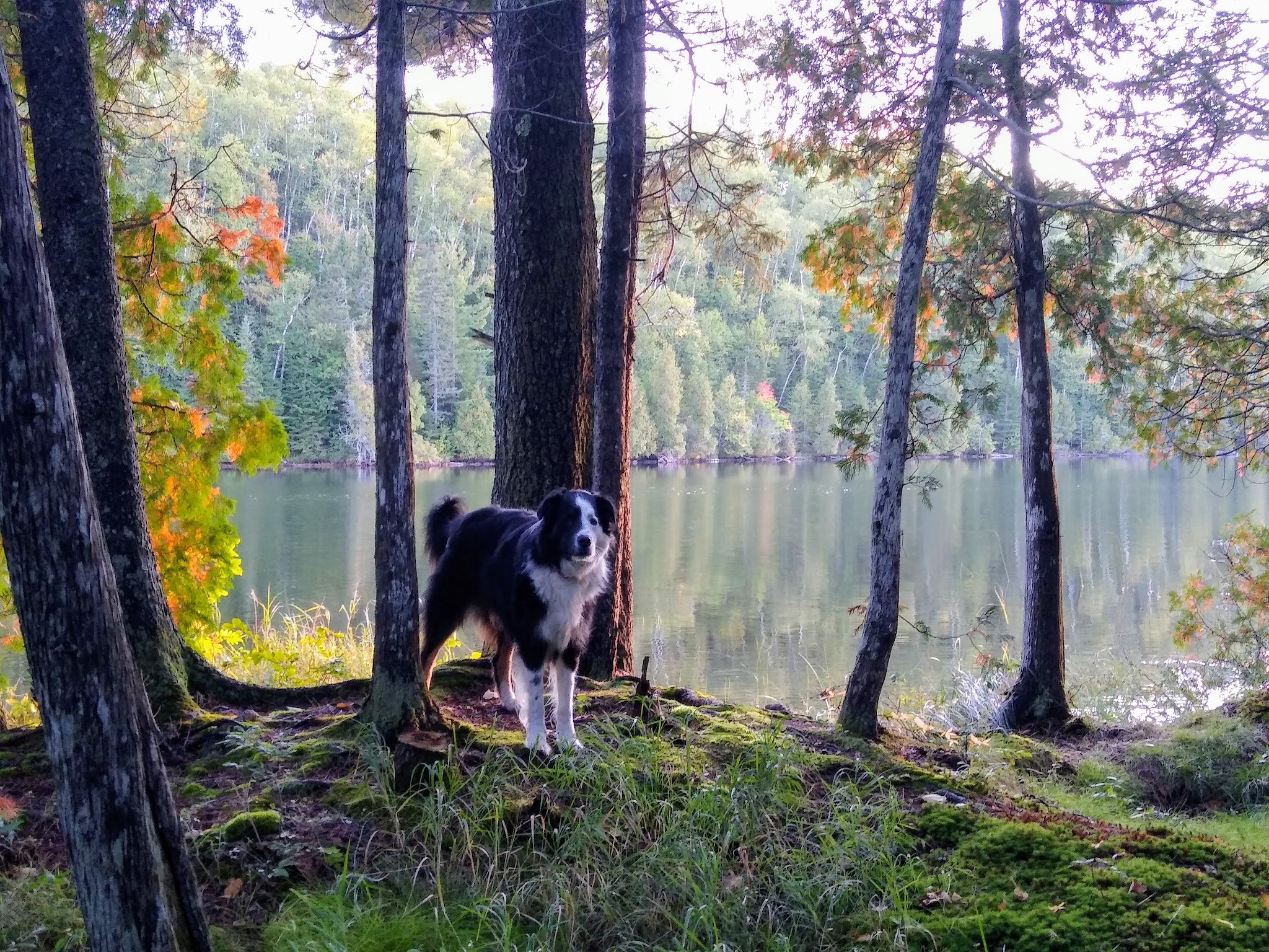 Hogback Lake Rustic Campground & Backcountry Sites