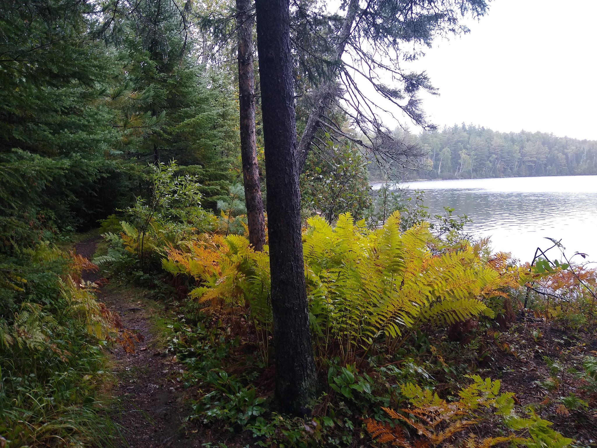 Hogback Lake Rustic Campground & Backcountry Sites