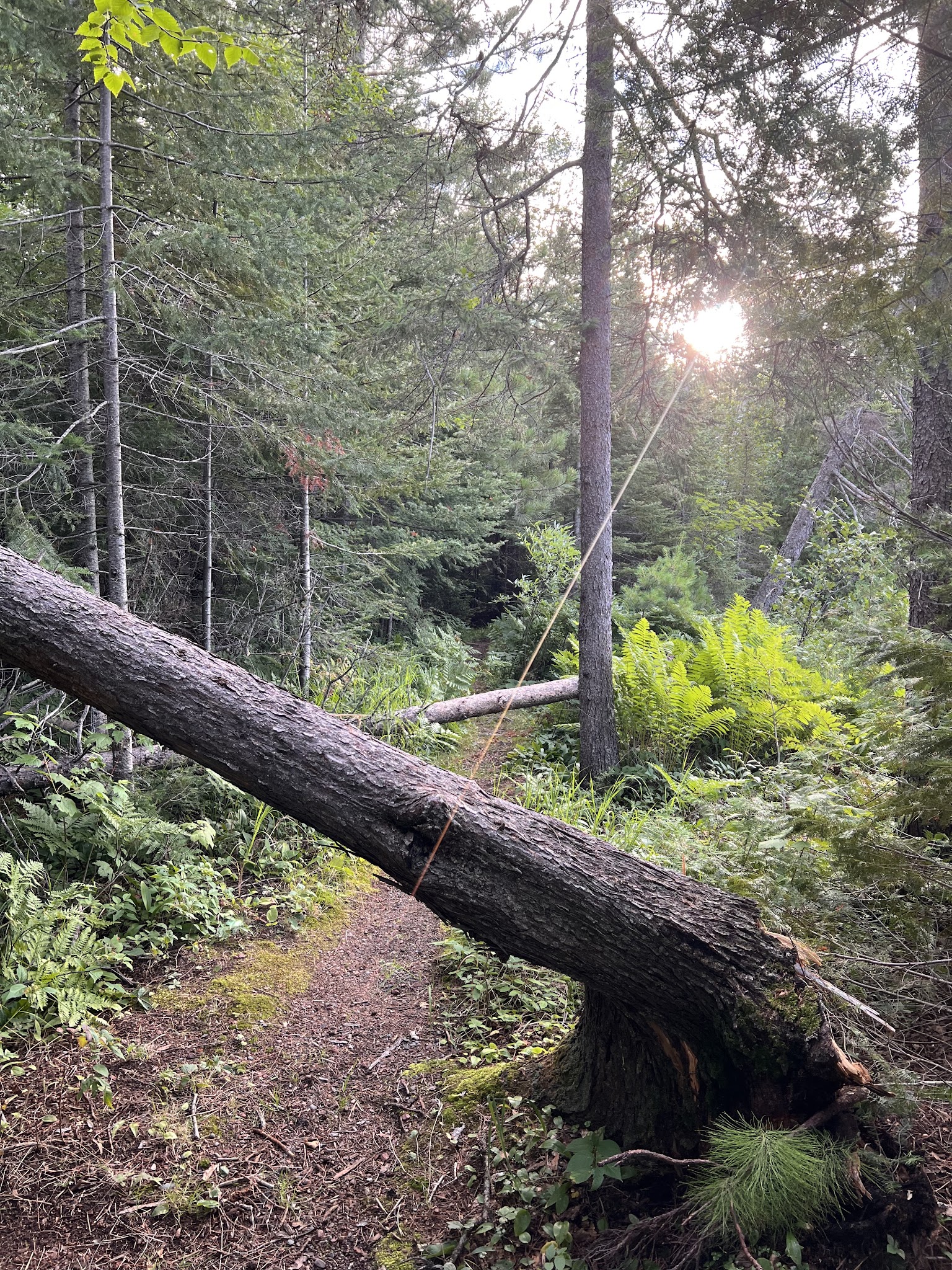Hogback Lake Rustic Campground & Backcountry Sites