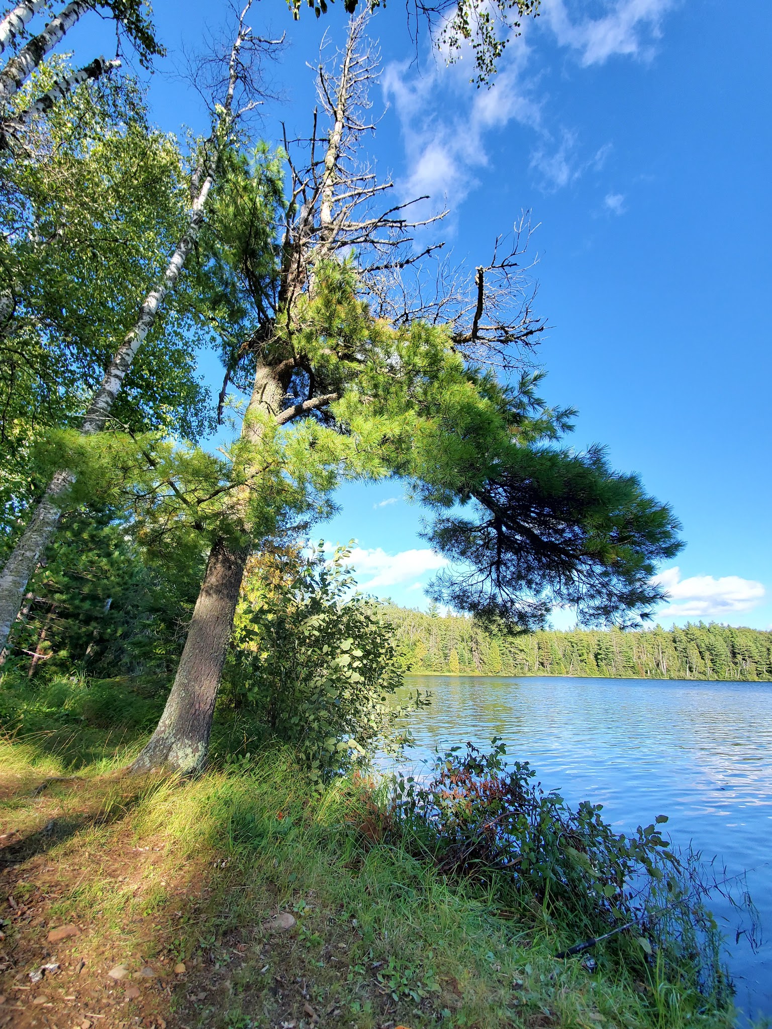 Hogback Lake Rustic Campground & Backcountry Sites