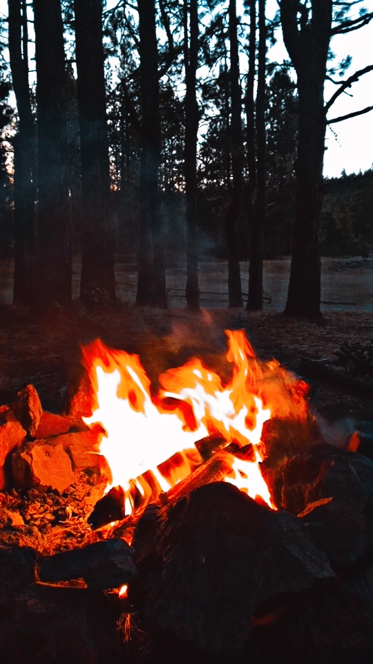Holbrook Reservoir Campground