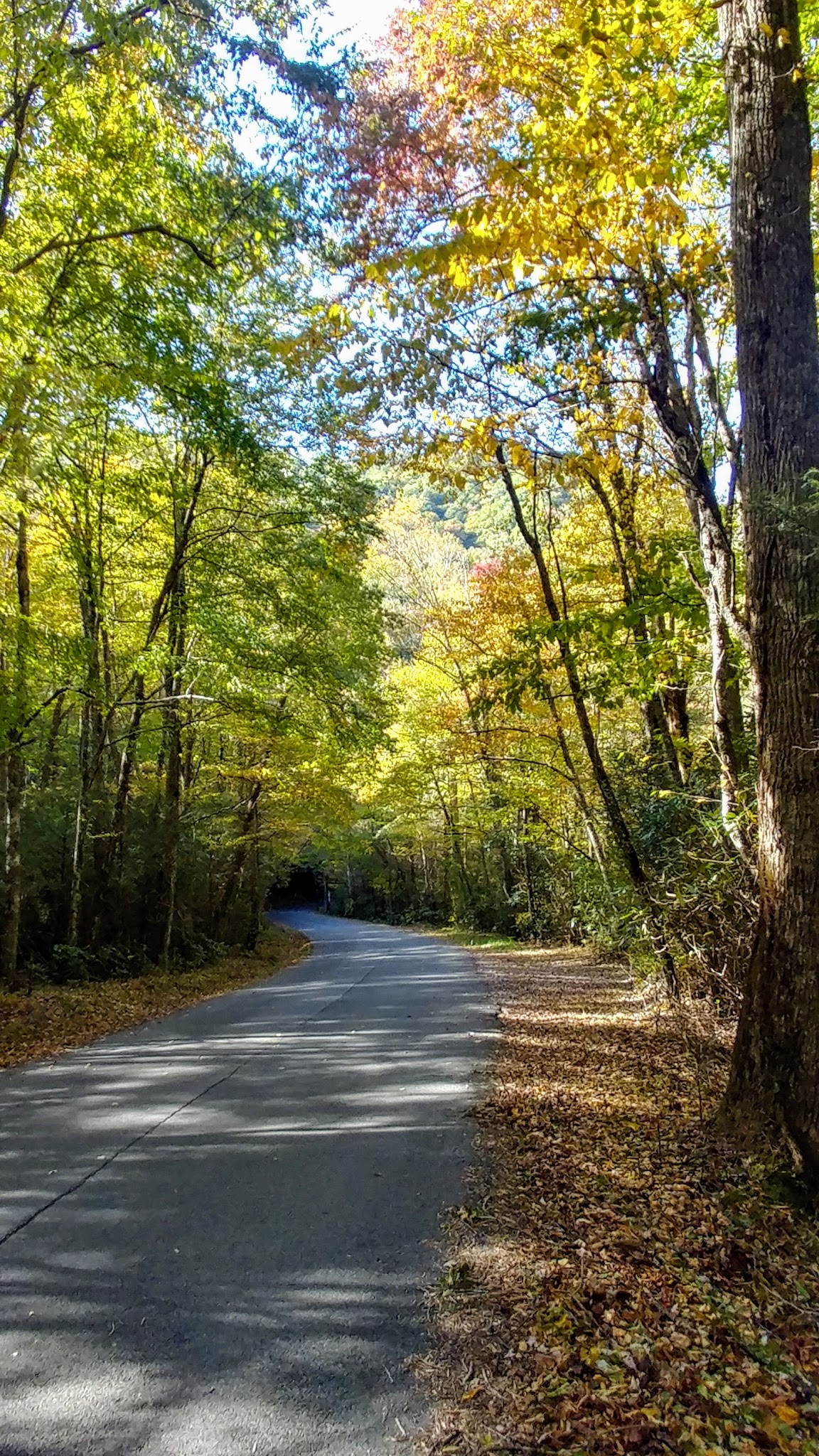 Holder Cove Campground