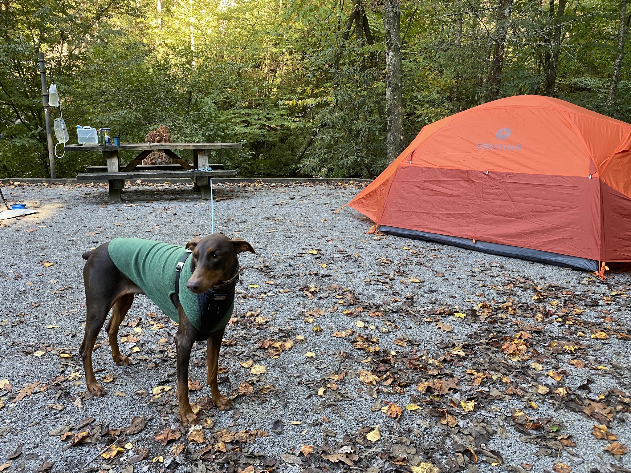 Holder Cove Campground
