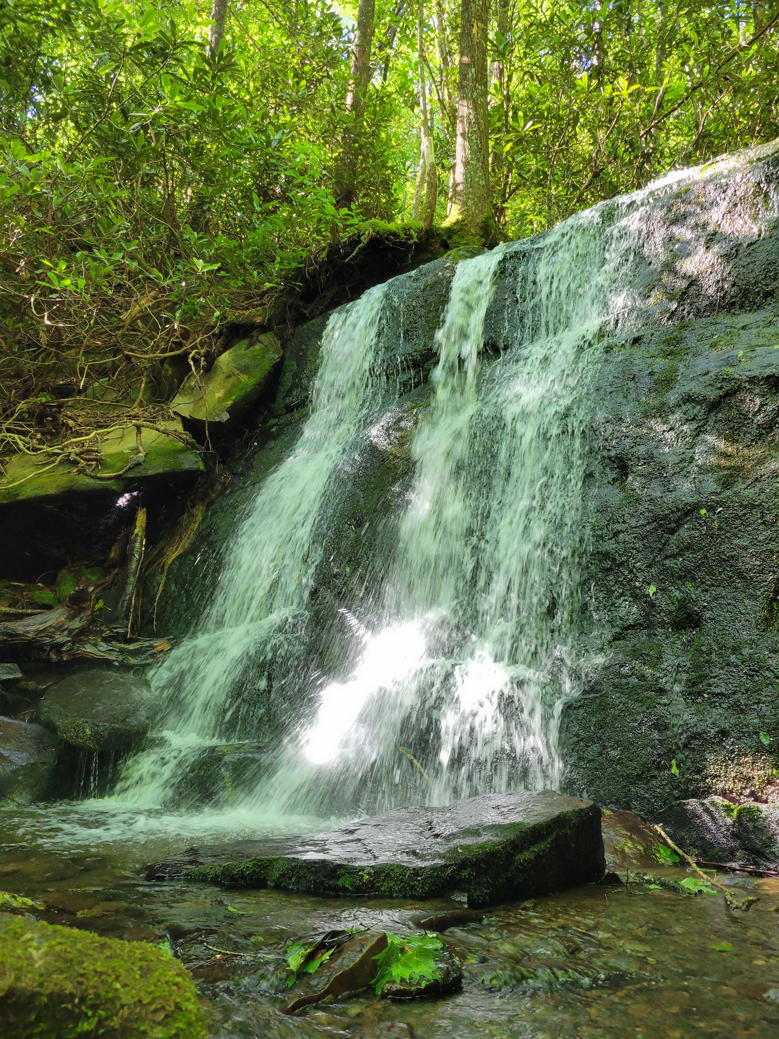 Holder Cove Campground