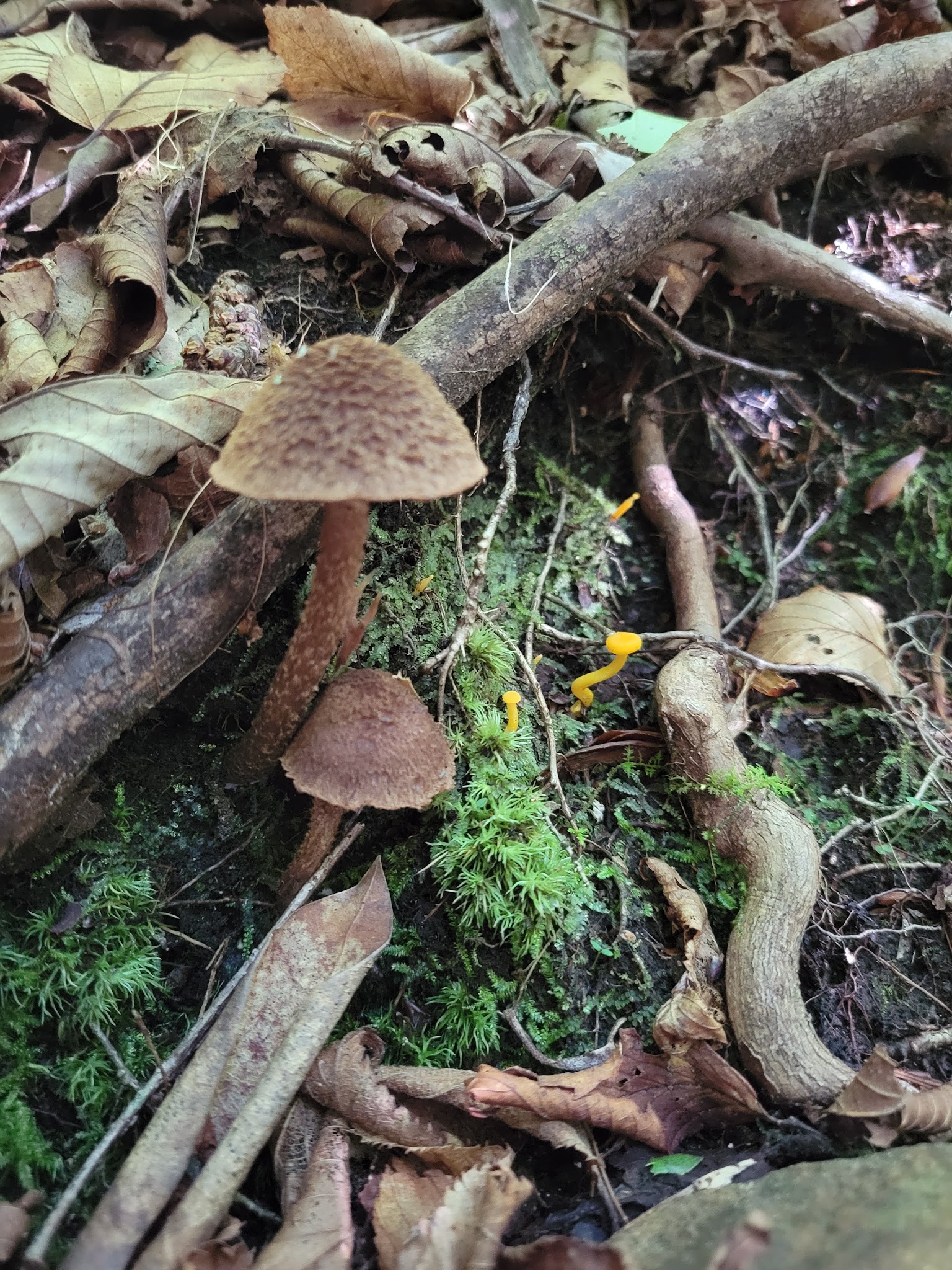 Holder Cove Campground