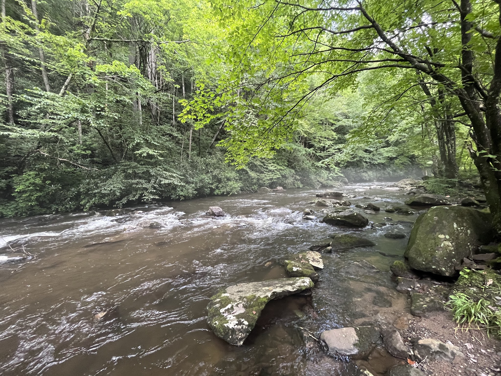 Holder Cove Campground