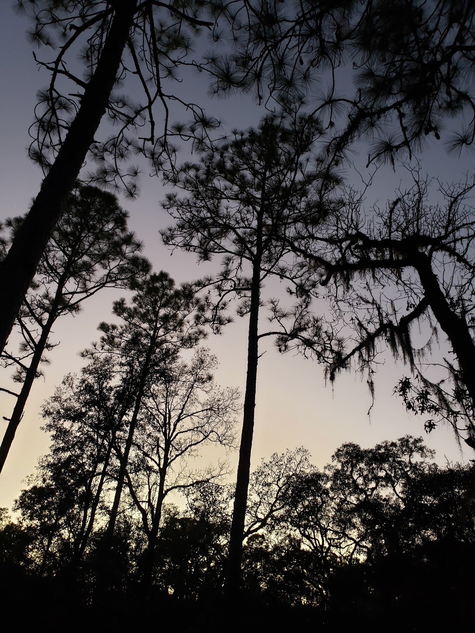 Holder Mine Hunt Camp
