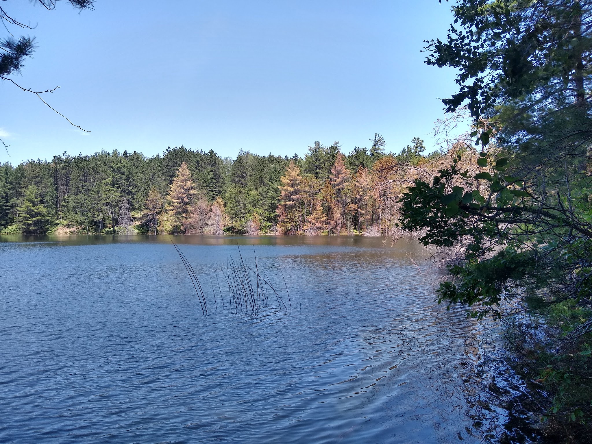 Holland Lake State Forest Campground