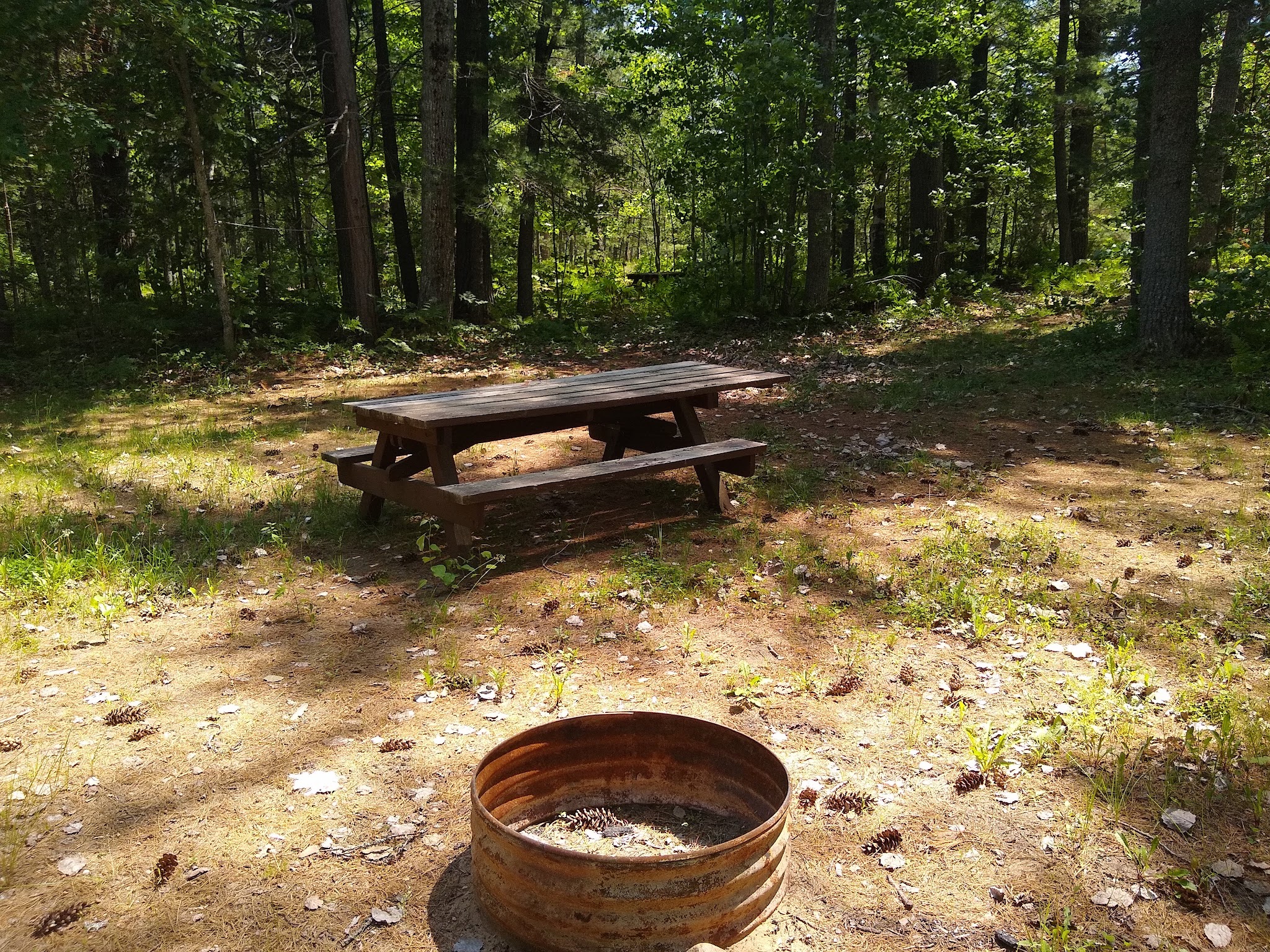Holland Lake State Forest Campground