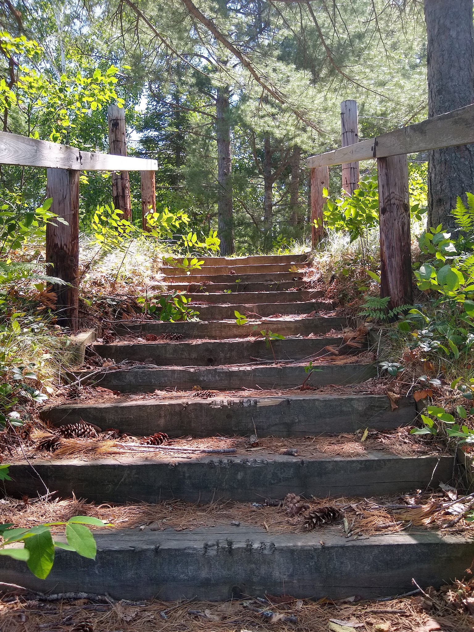 Holland Lake State Forest Campground