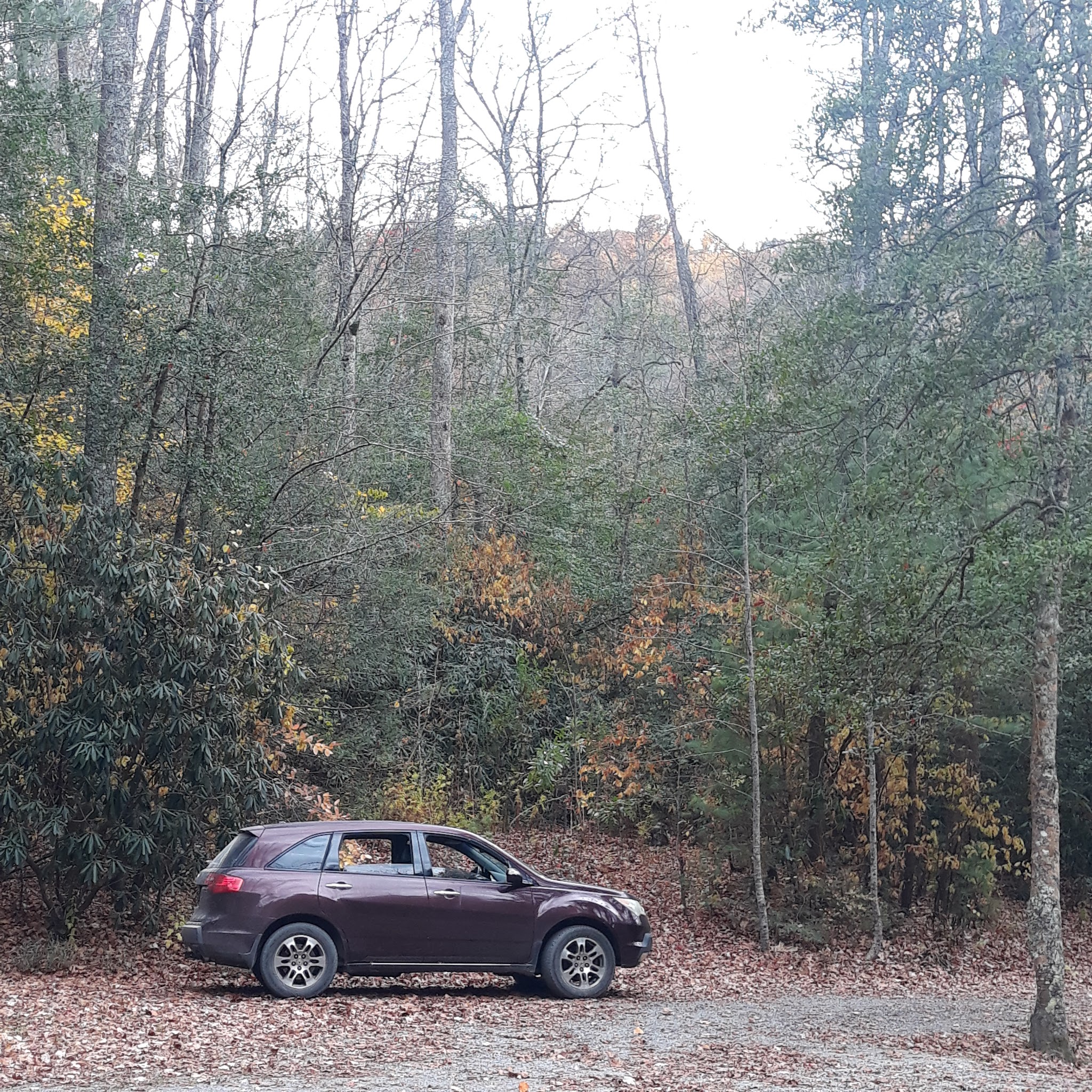 Holly Flats Campground