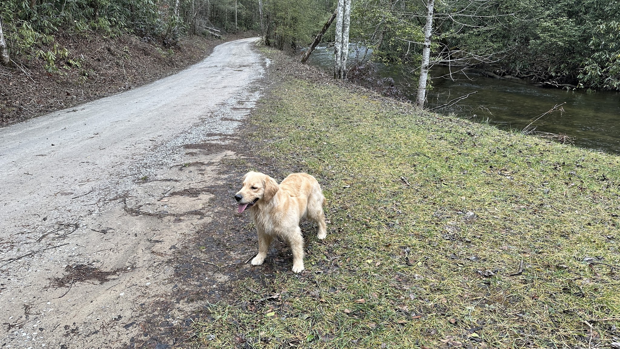 Holly Flats Campground